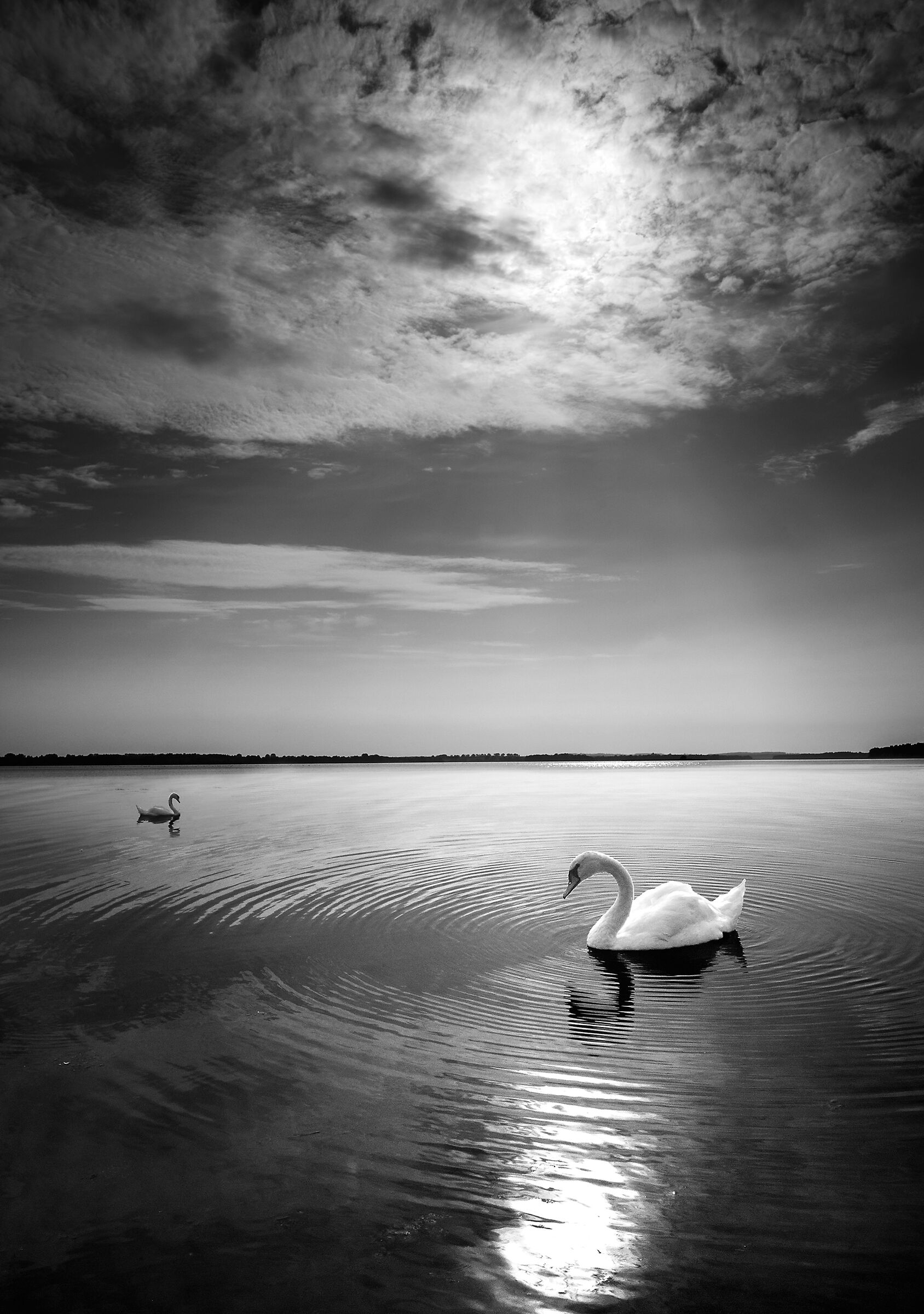 Swan Lake