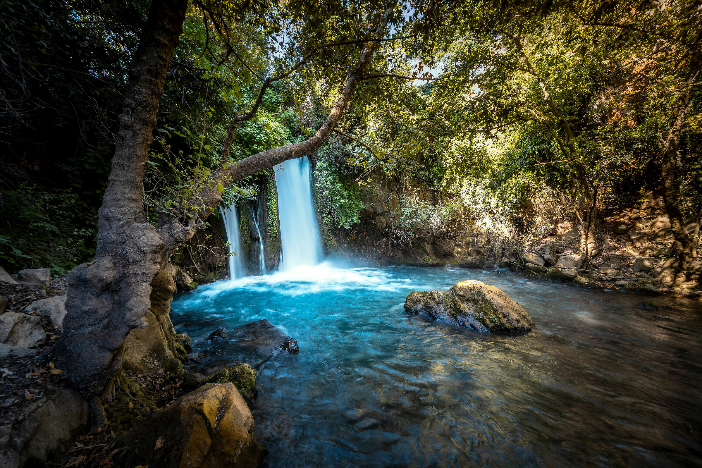 Banias