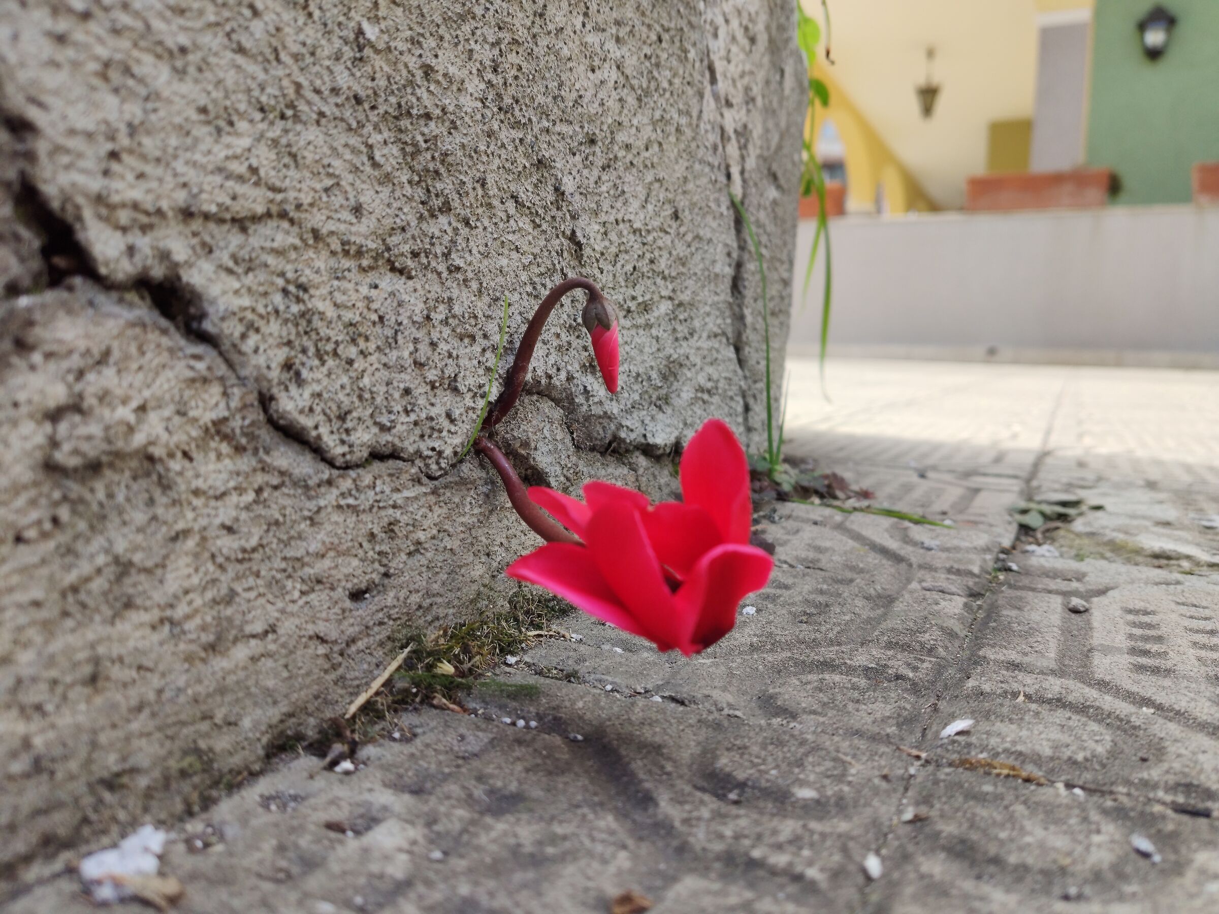 La forza della natura