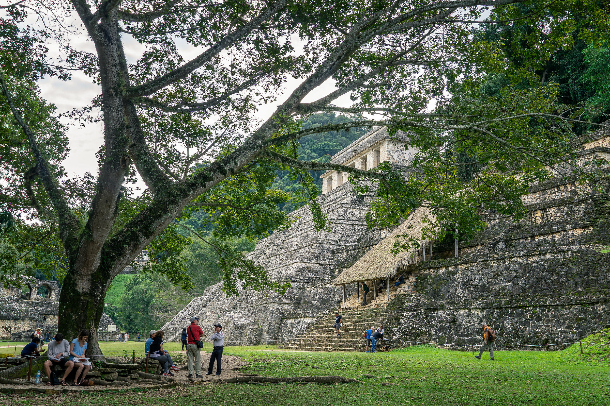 Palenque