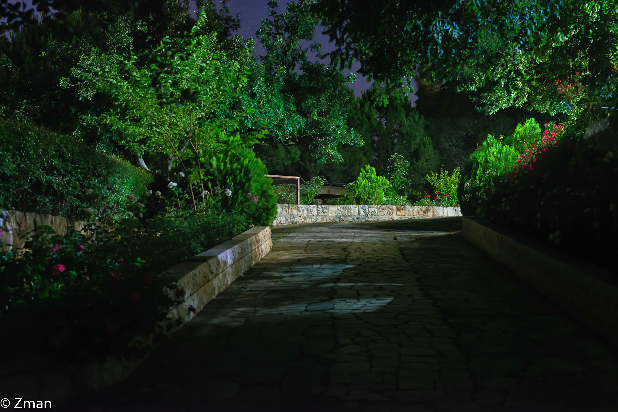 Approccio strada di notte