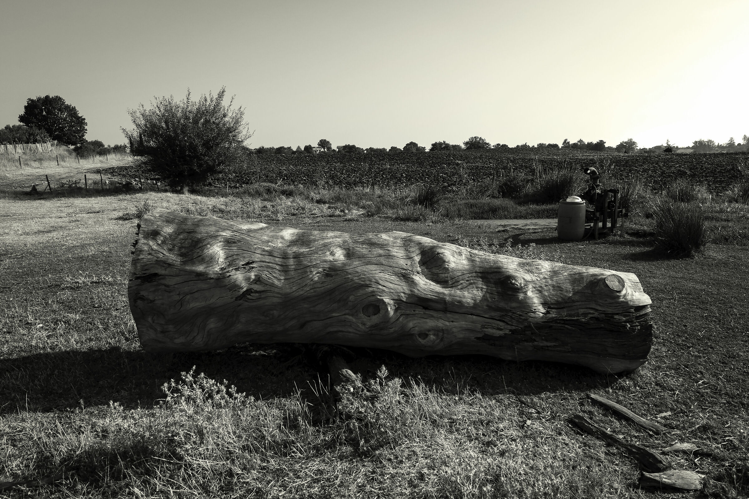 Roadside country compositions