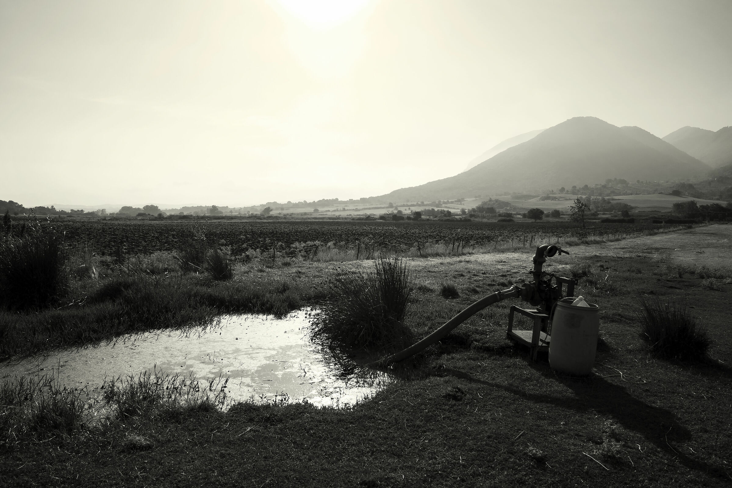 Roadside country compositions