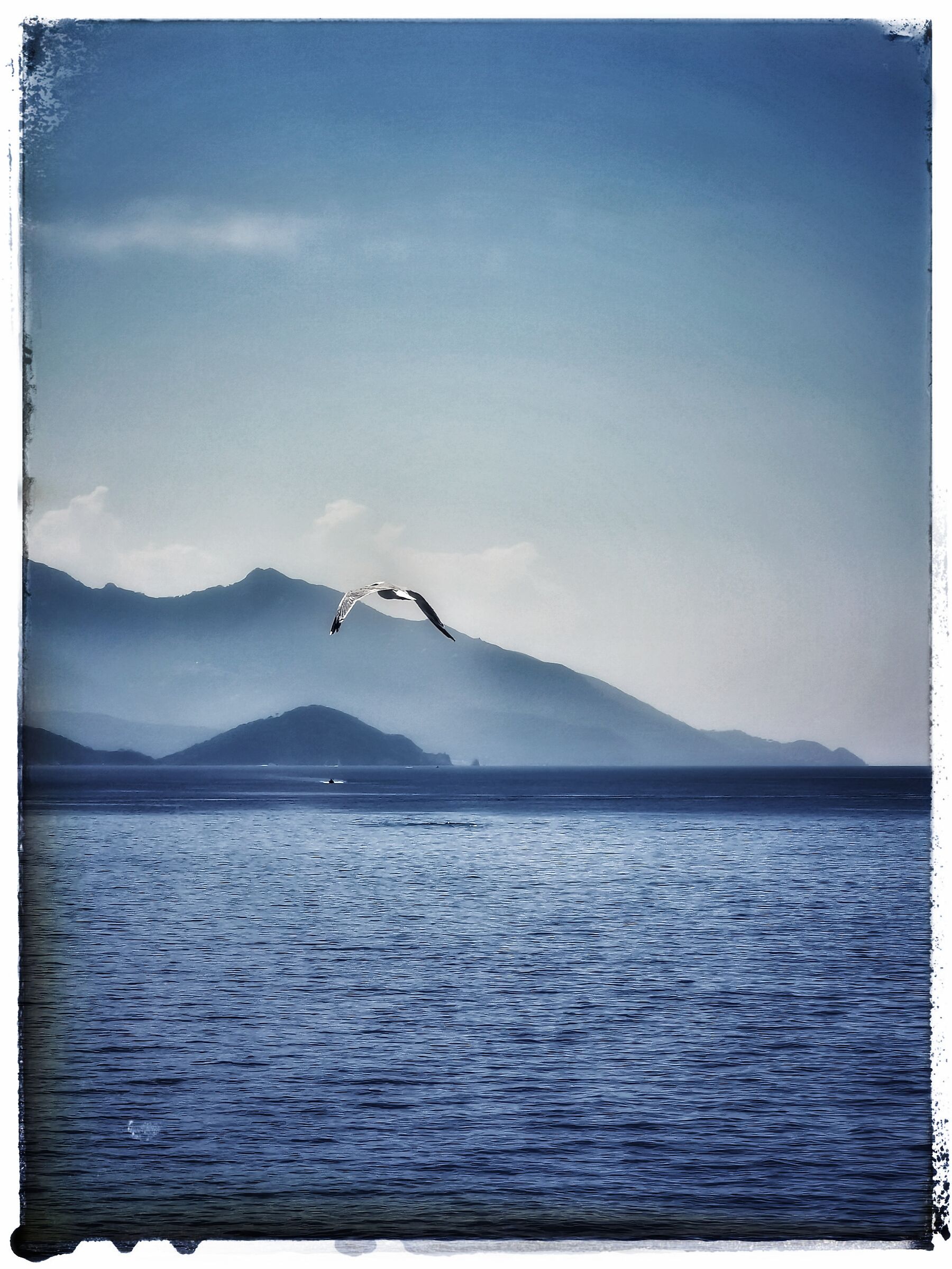 Travelling to the island of Elba