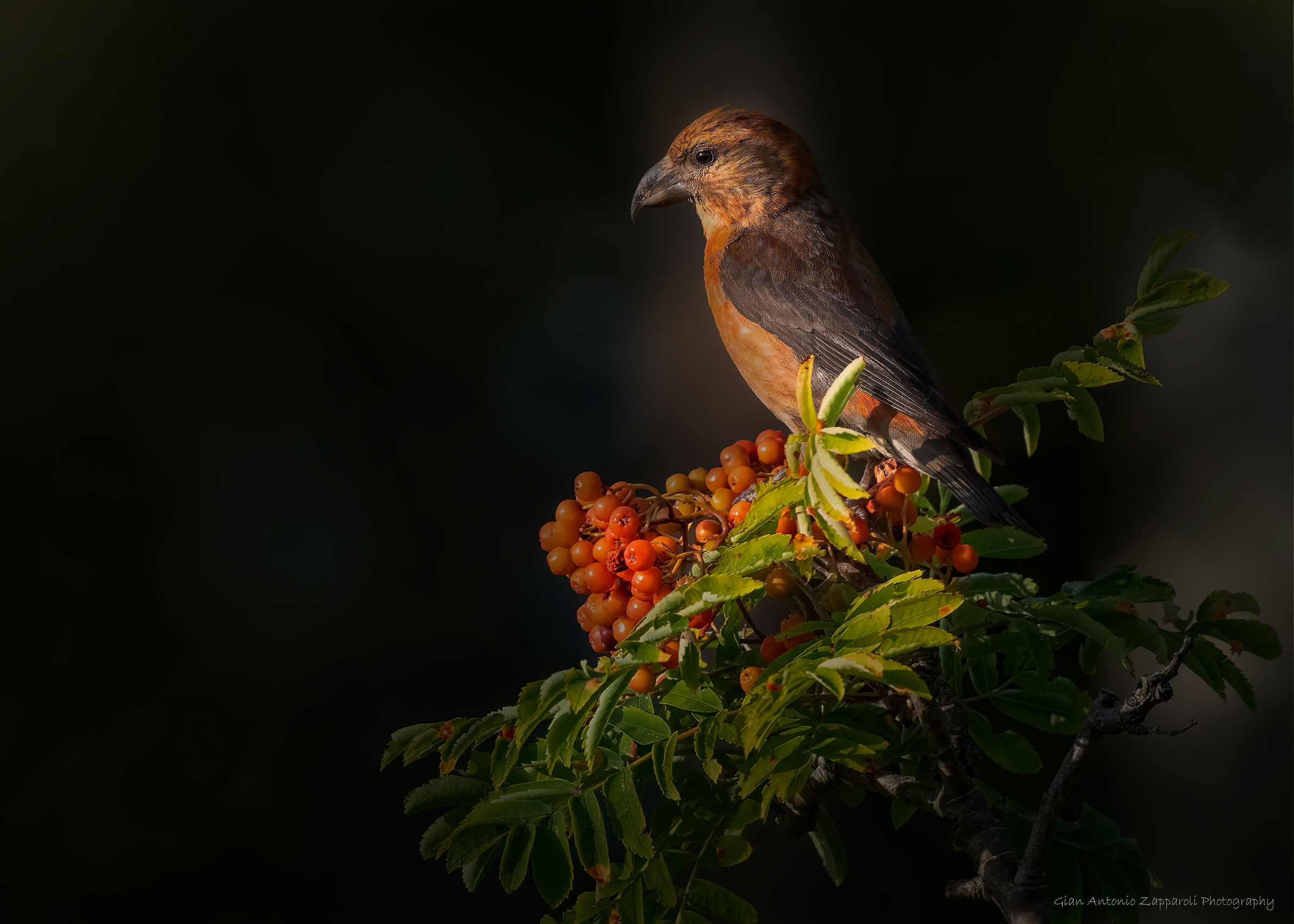 Come un dipinto d'epoca