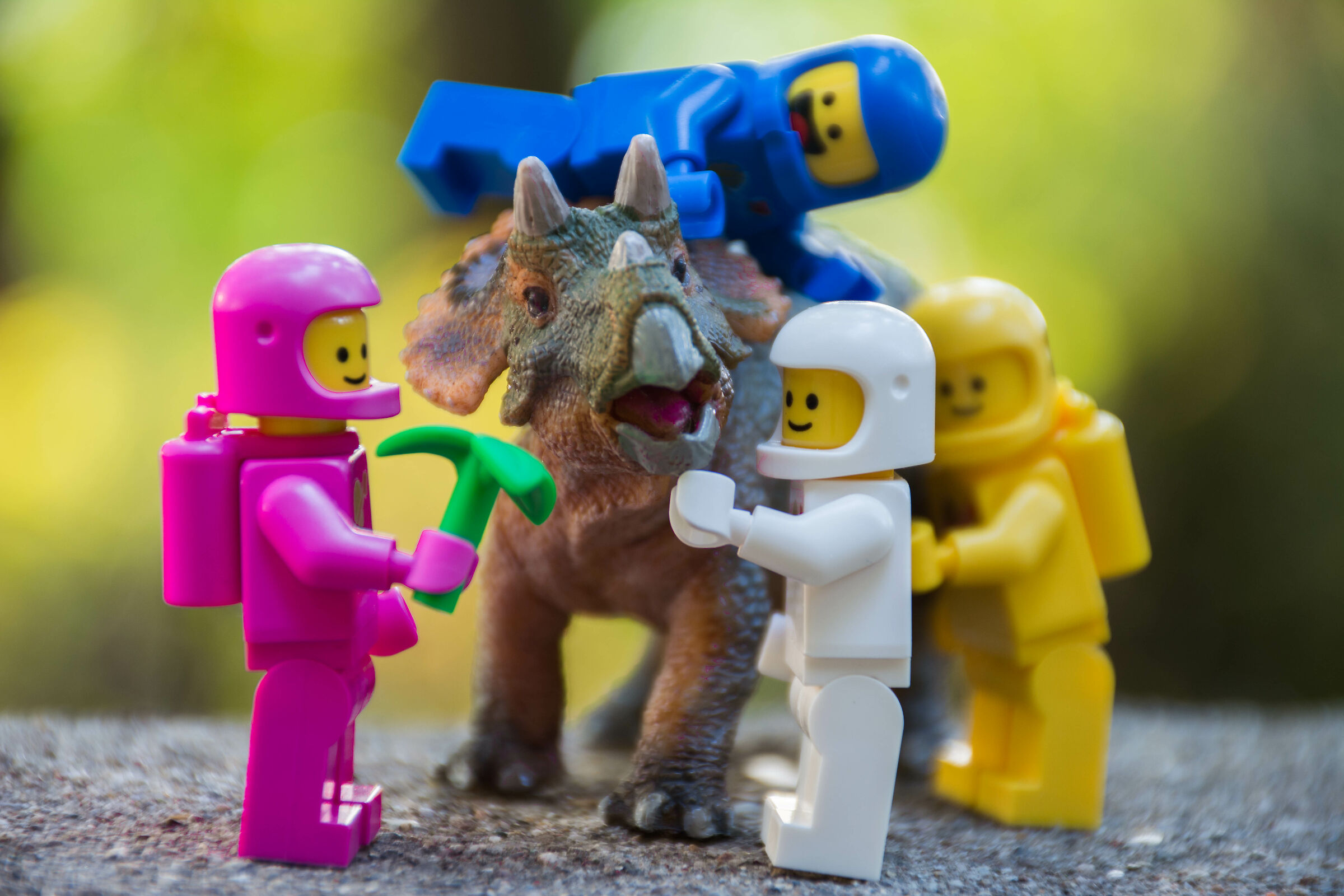 Gita allo zoo: l'asinello