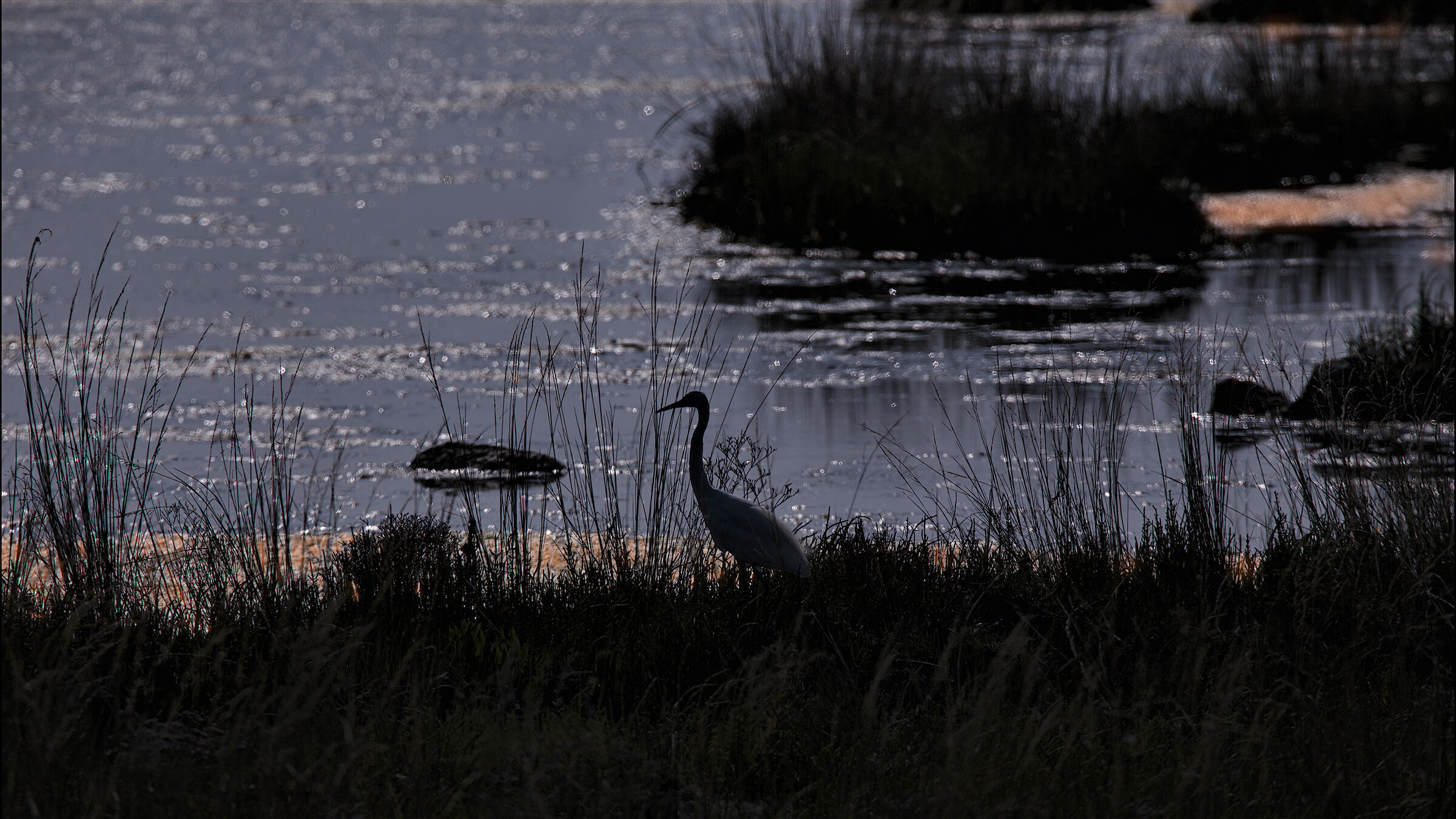 Laguna veneziana