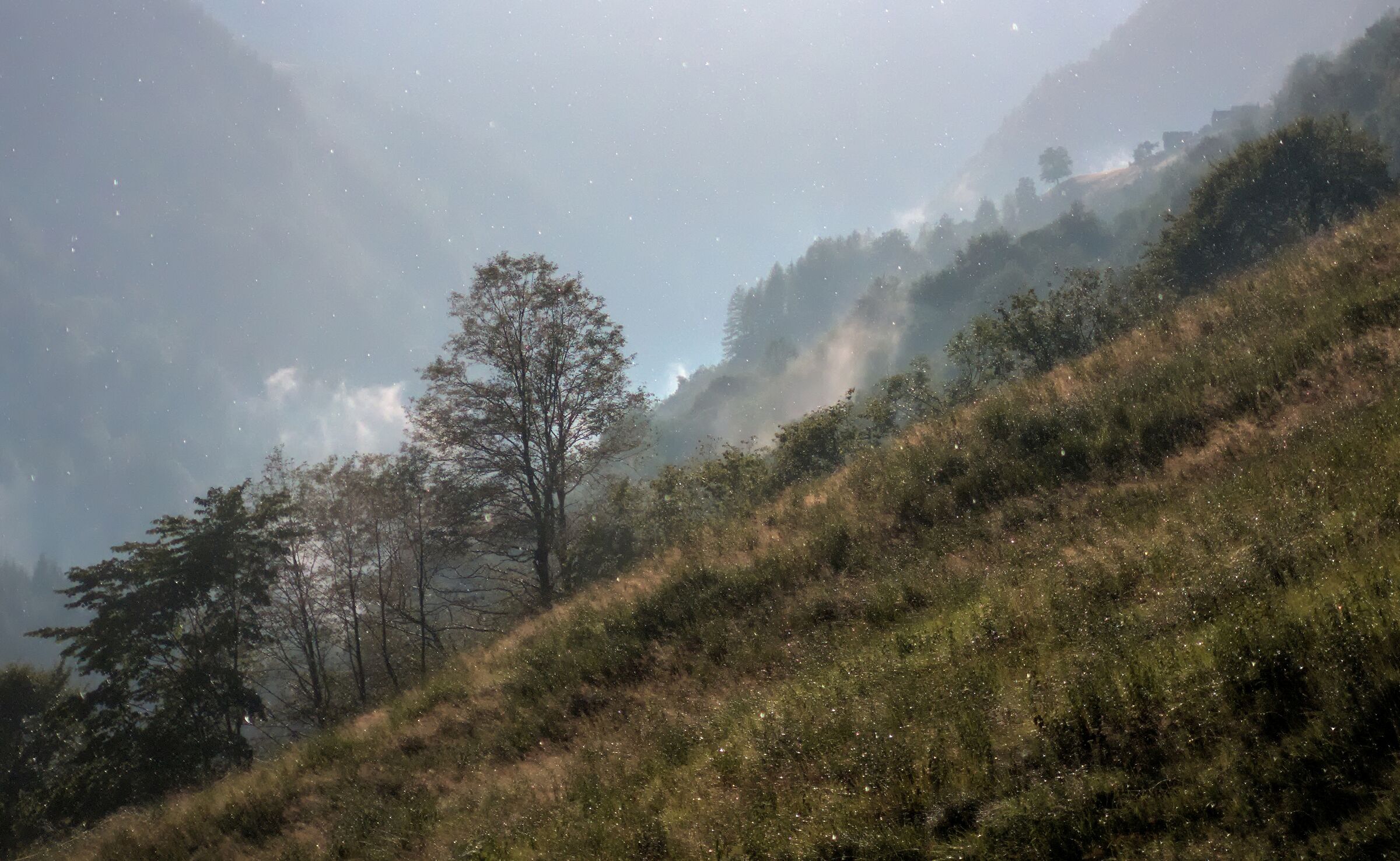 Pioggerellina serale (Valle Onsernone)