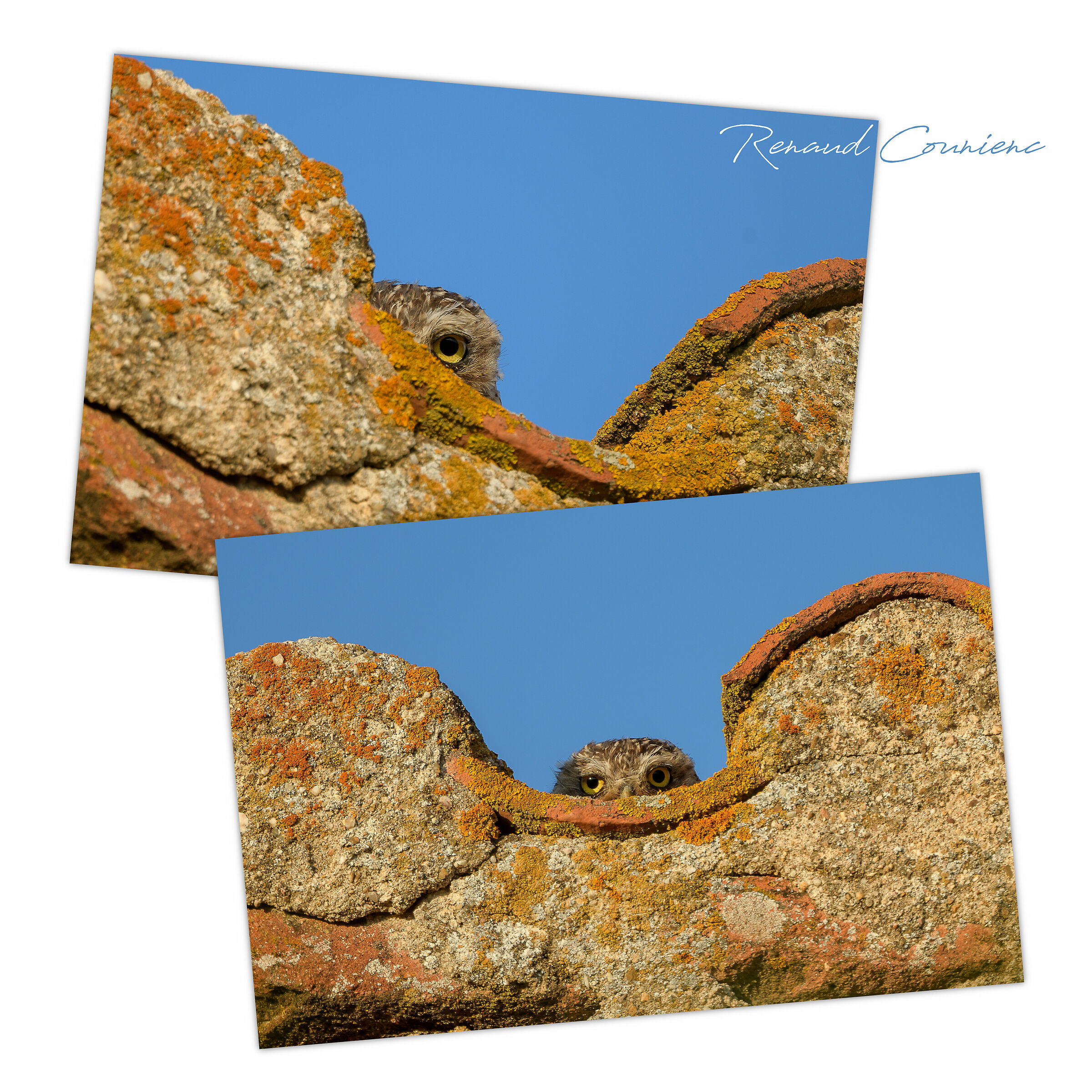 Monitoraggio, un occhio, poi due :)