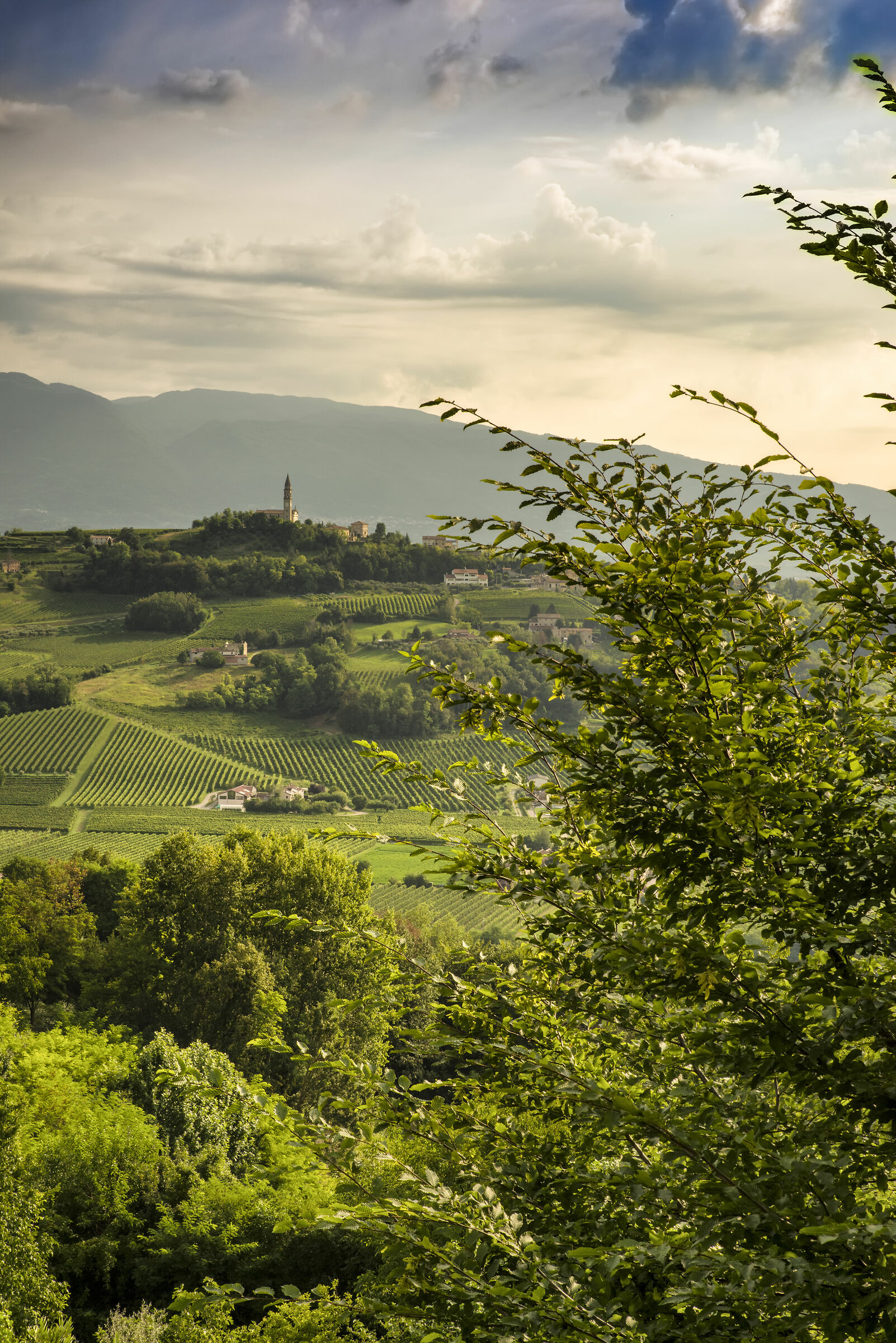 Vista da San Pietro in Feletto