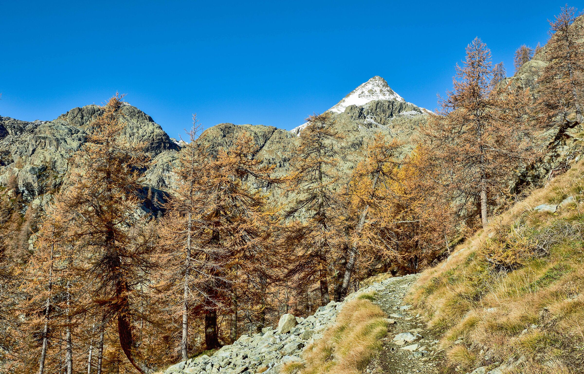 salendo verso il Grand Lac