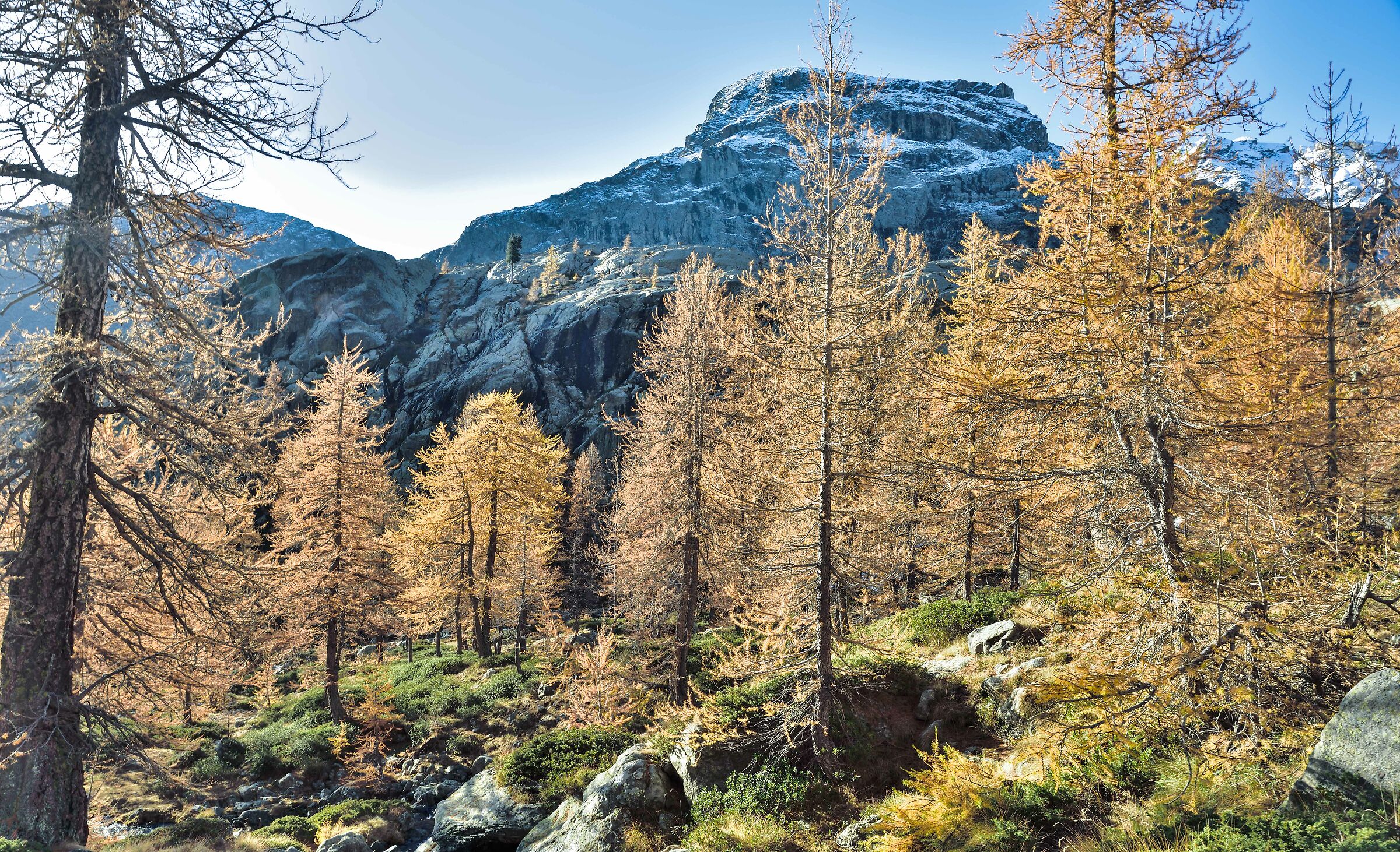 salendo verso il Grand Lac