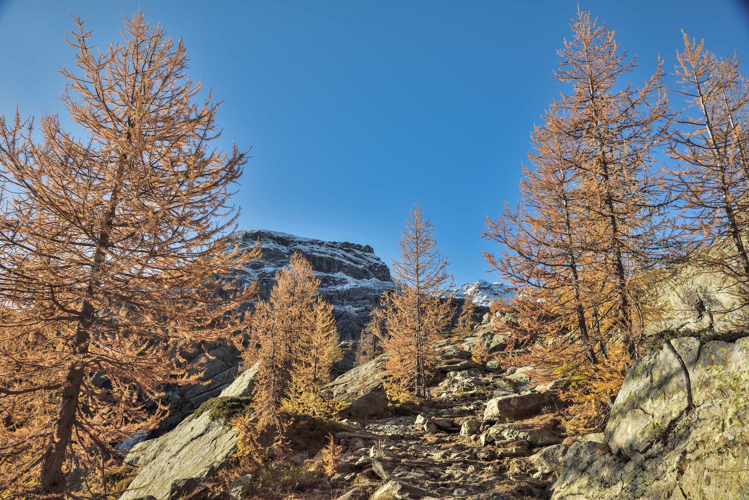 salendo verso il Grand Lac