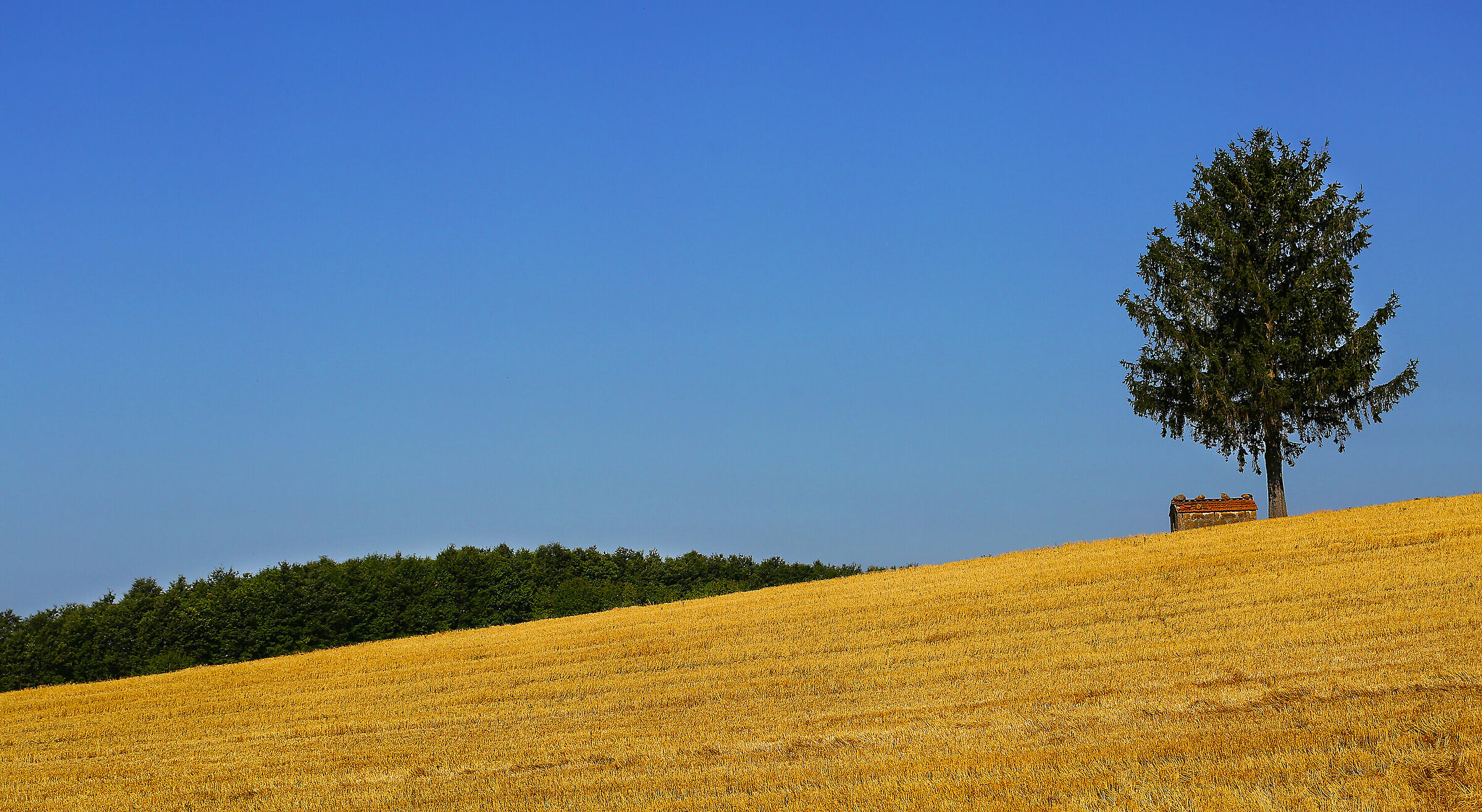 Tuscan Landscape
