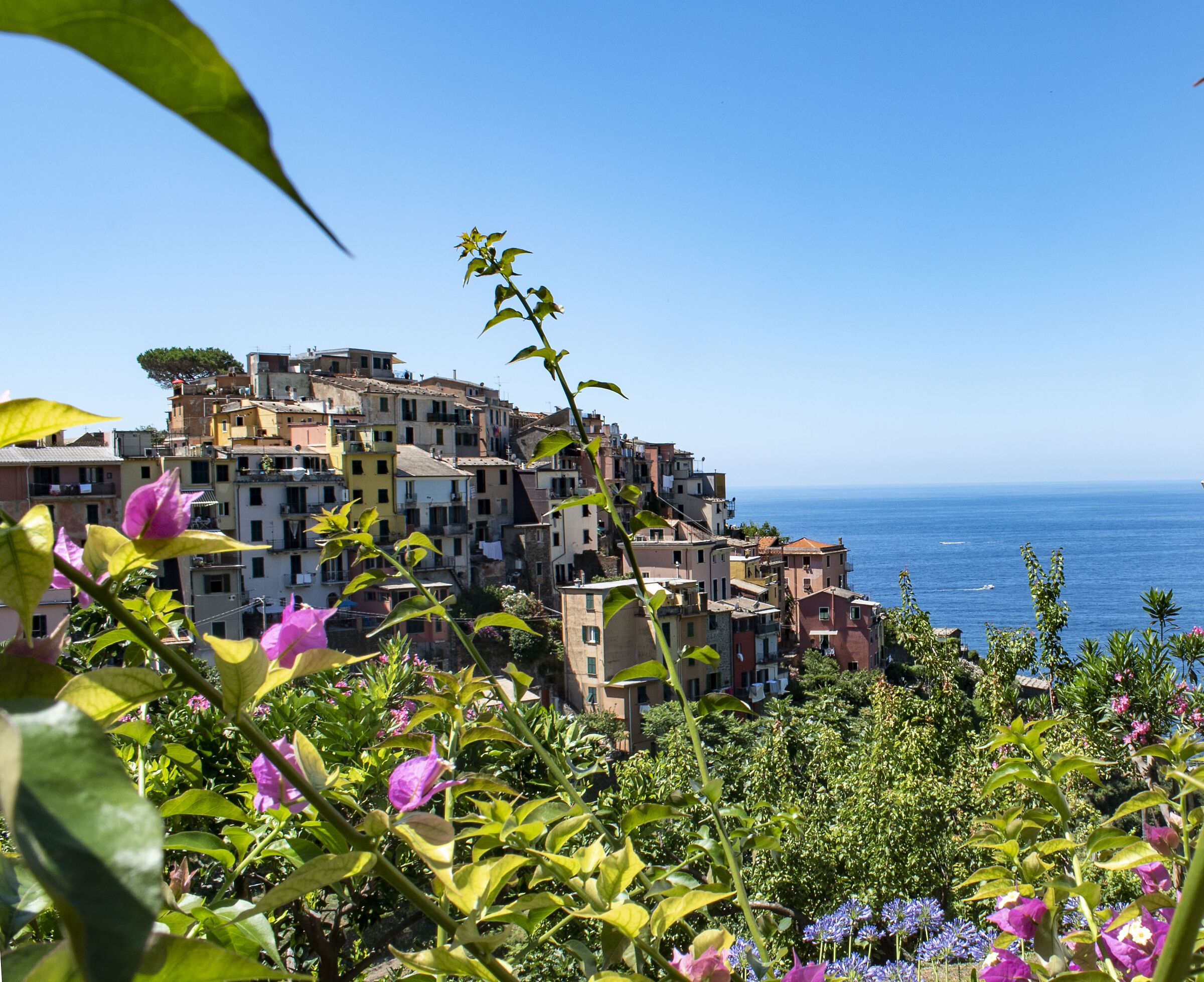 le 5 terre che spettacolo