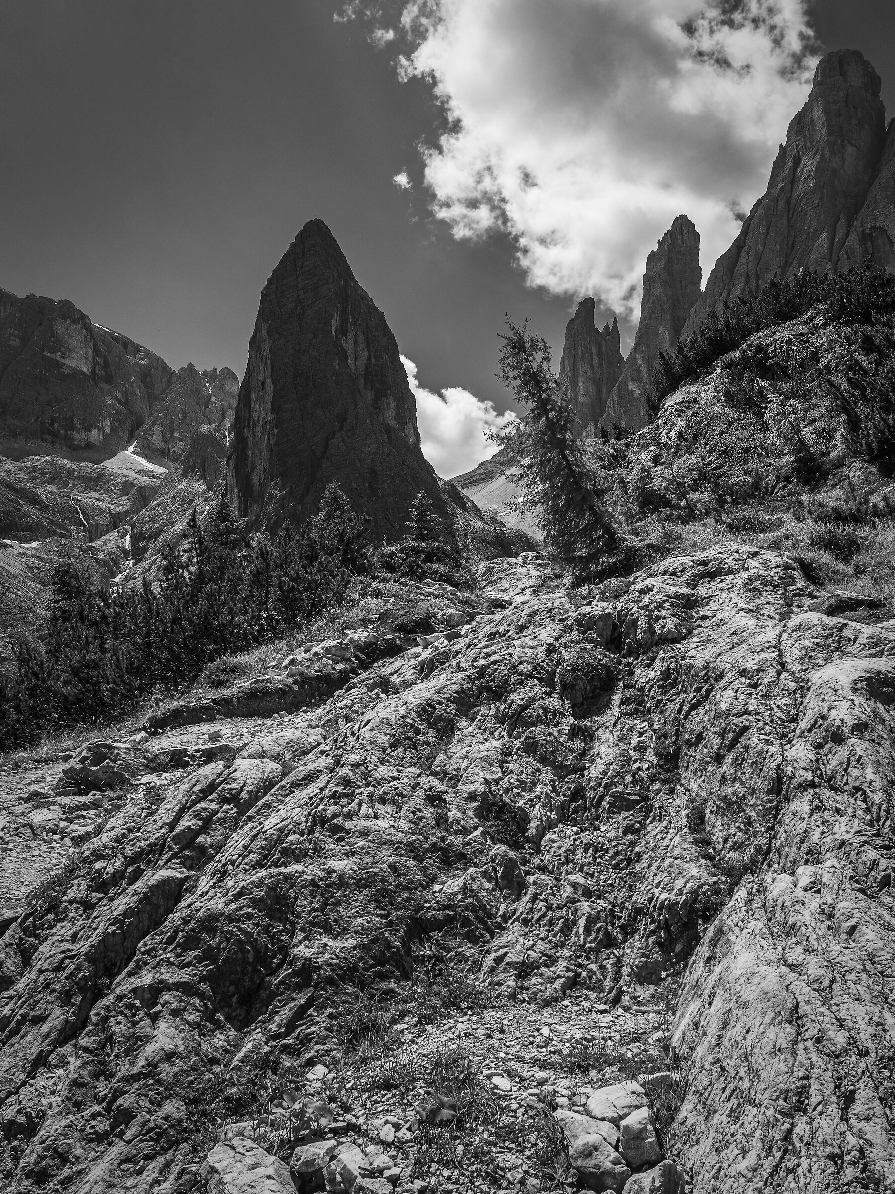 Verso la Croda dei Toni