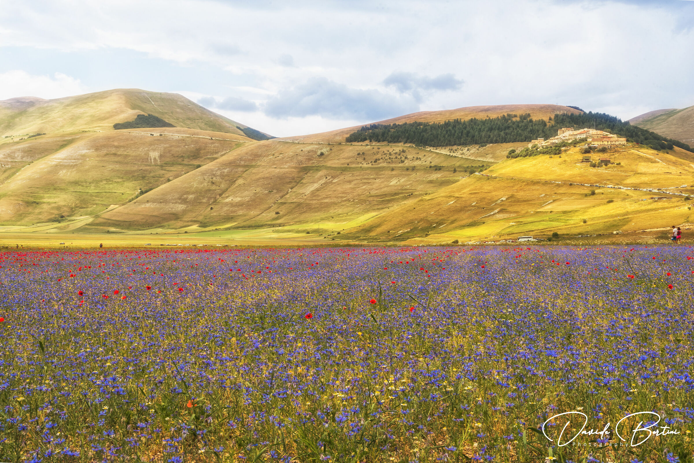 Esplosione di colori