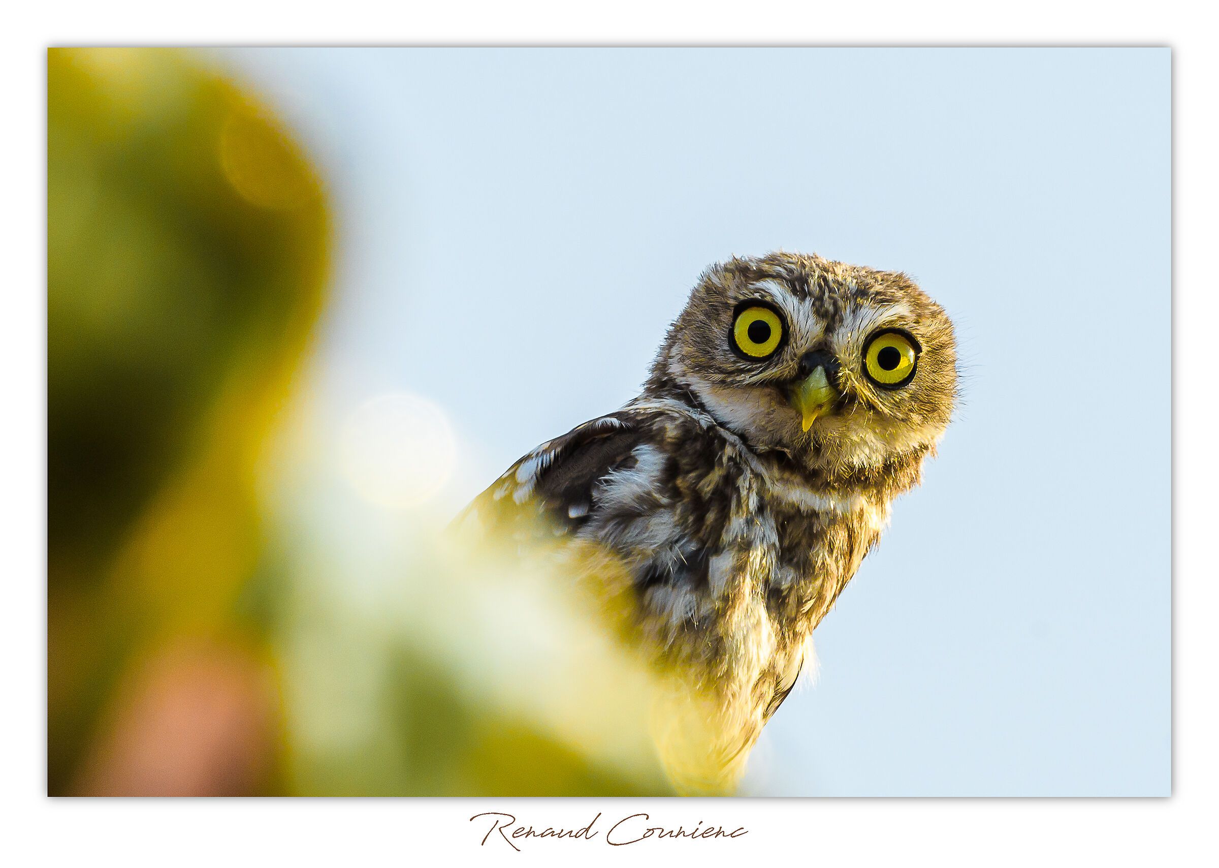 Avvicinamento, sempre più vicino