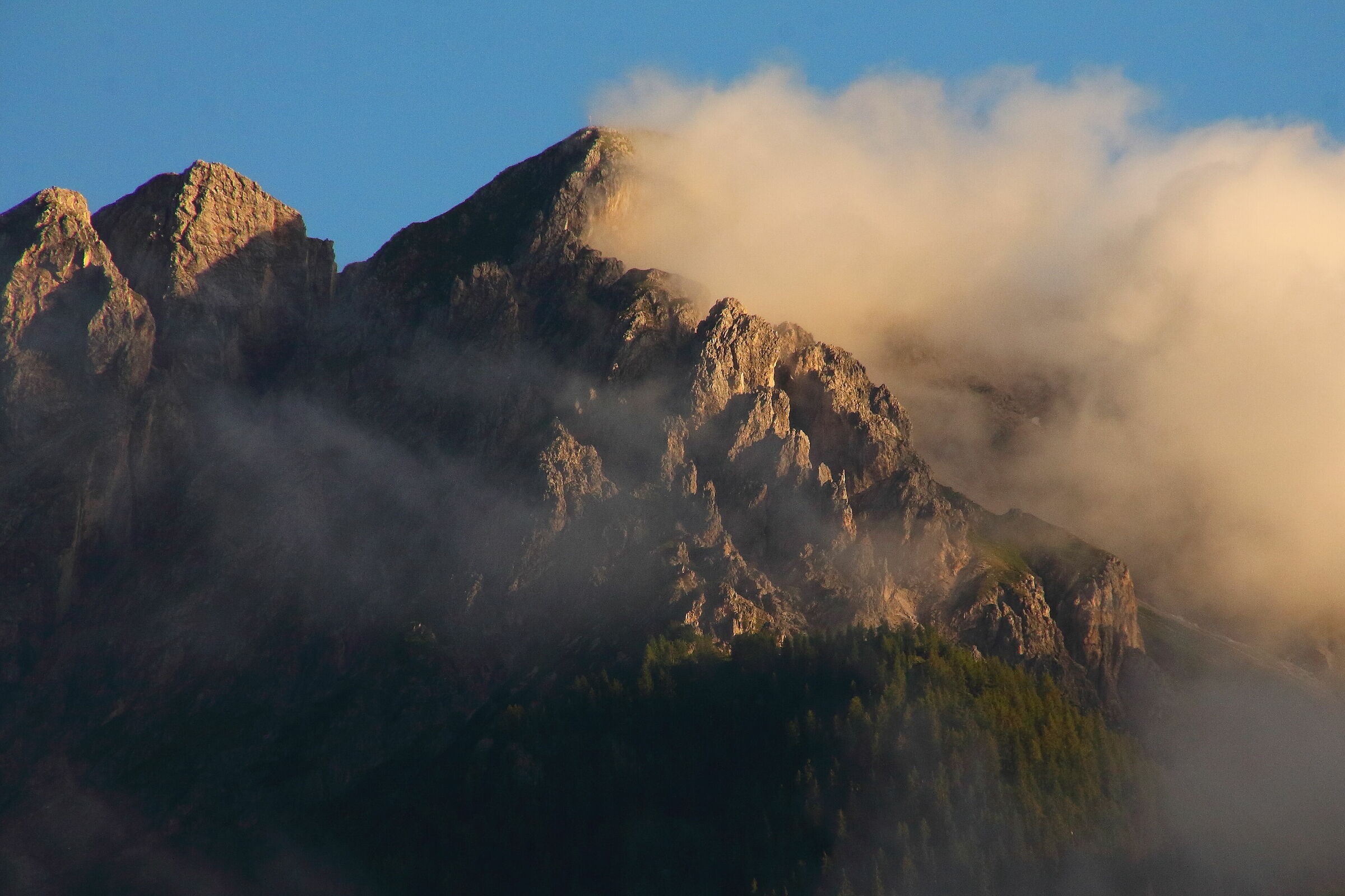 trentino a.a.