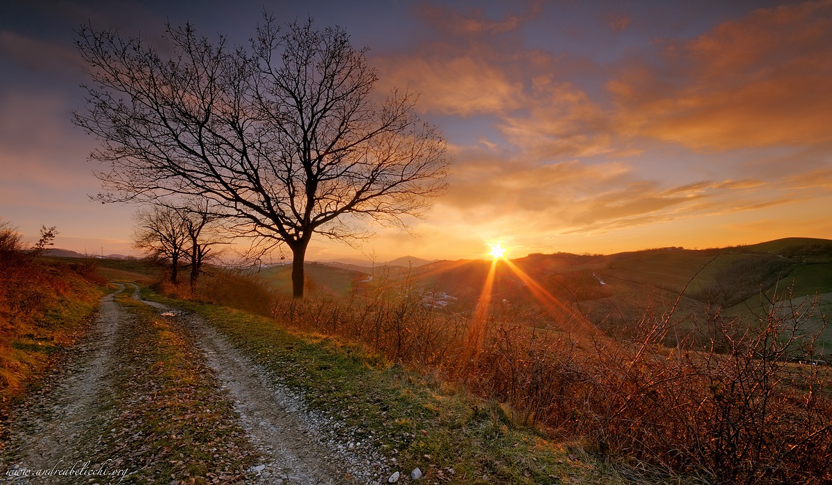 Winter sunset over the hills of Parma
