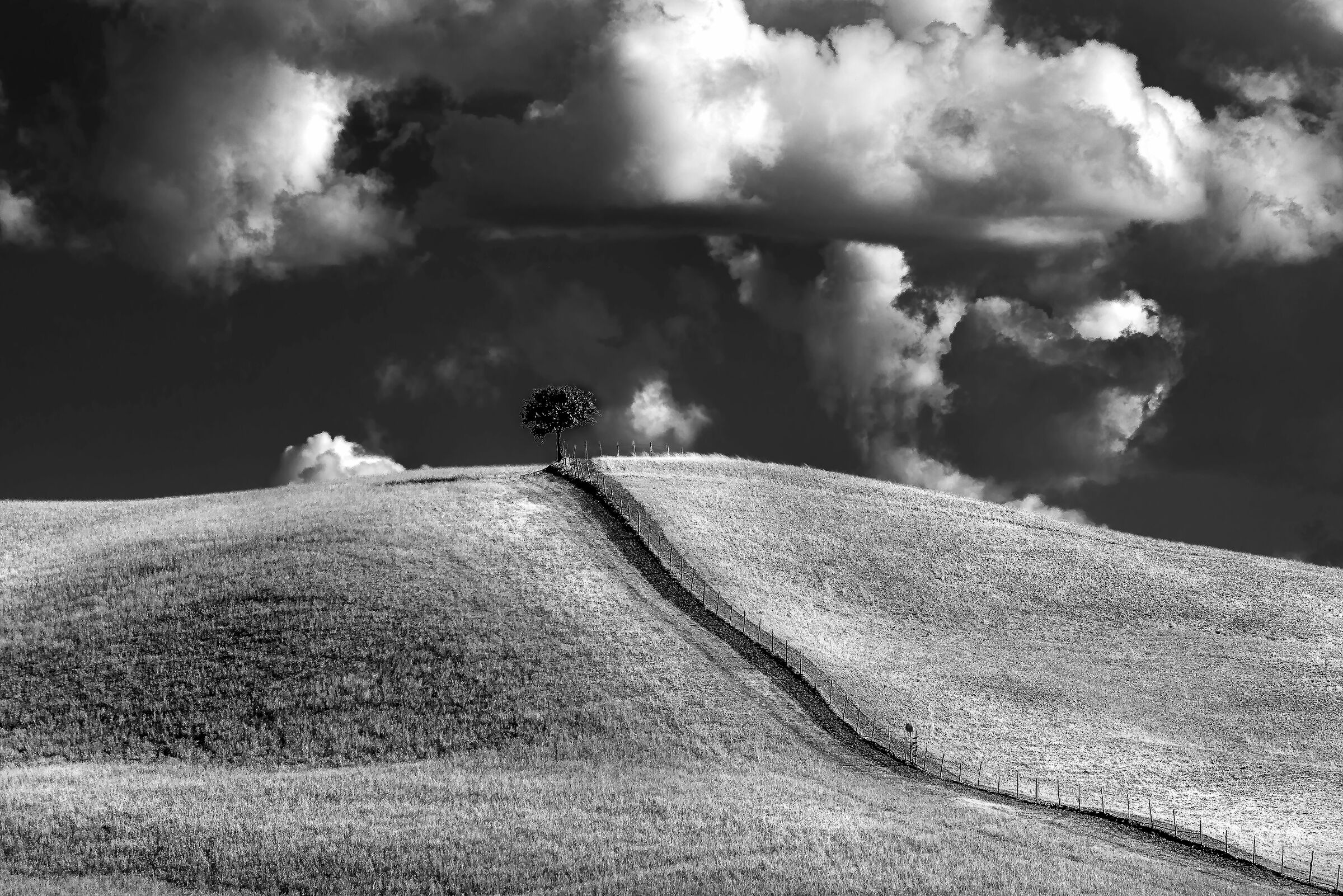 paesaggio pressi san casciano(si)