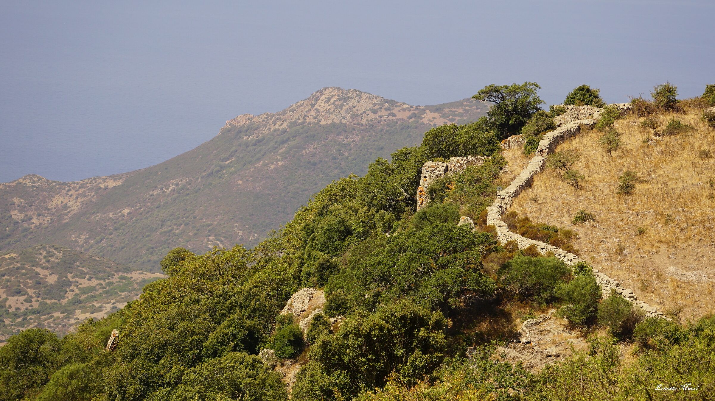 Immaginando il Volo del  Grifone