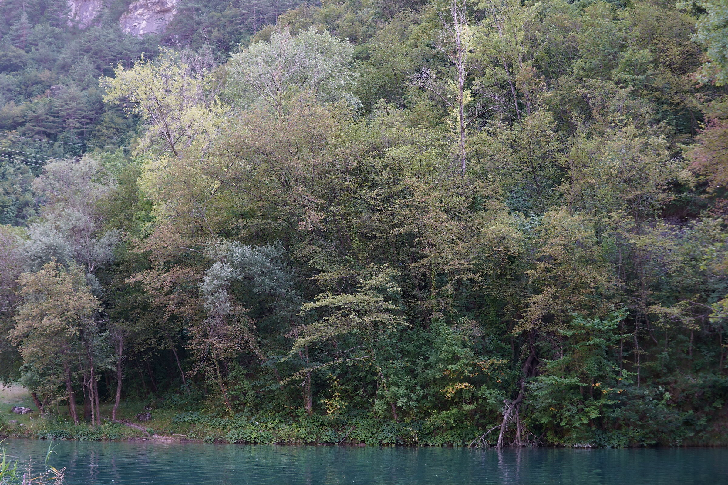 Lake Cavazzo, glimpse