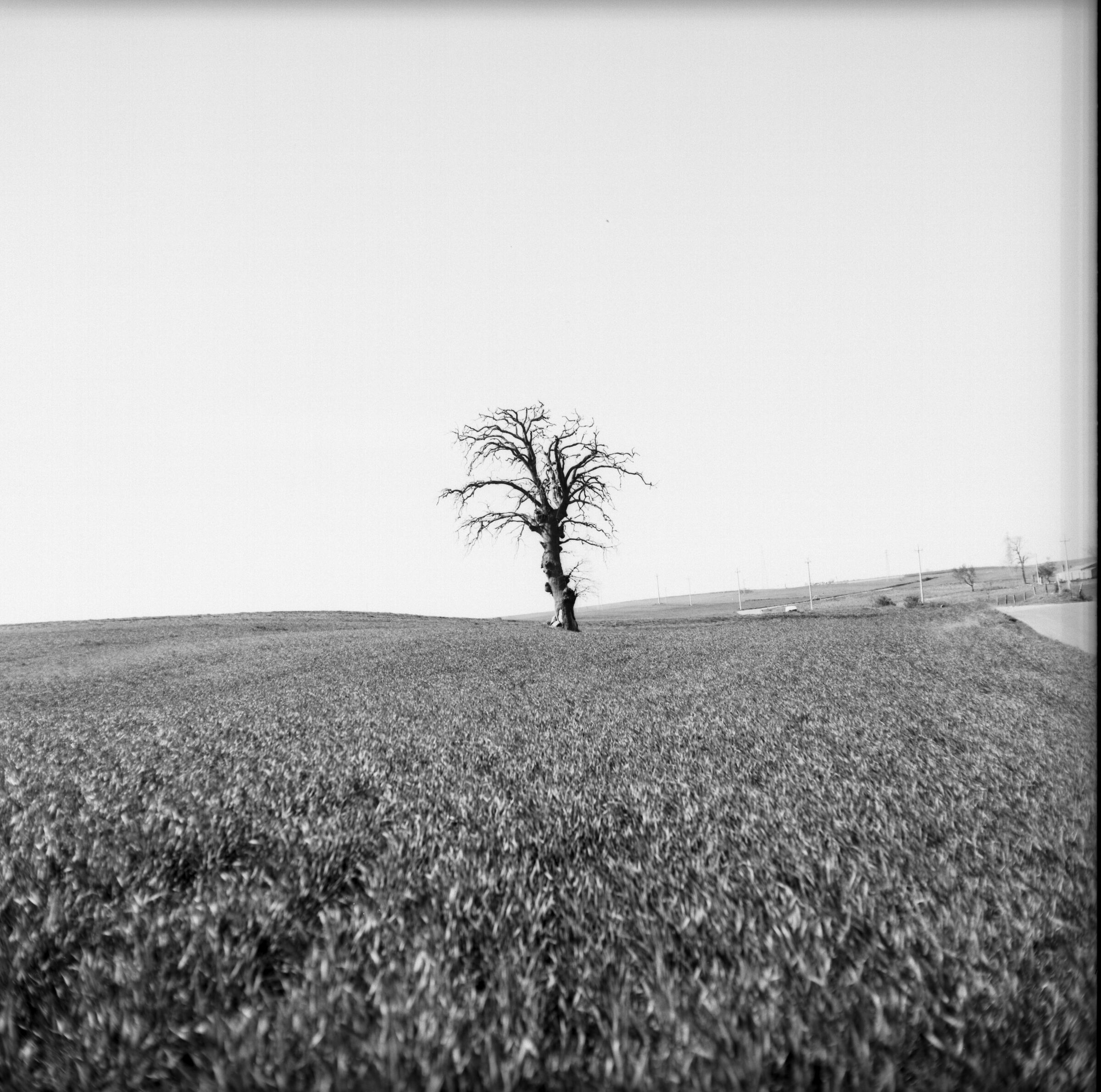 towards Genzano di lucania Agfa bn 100 asa