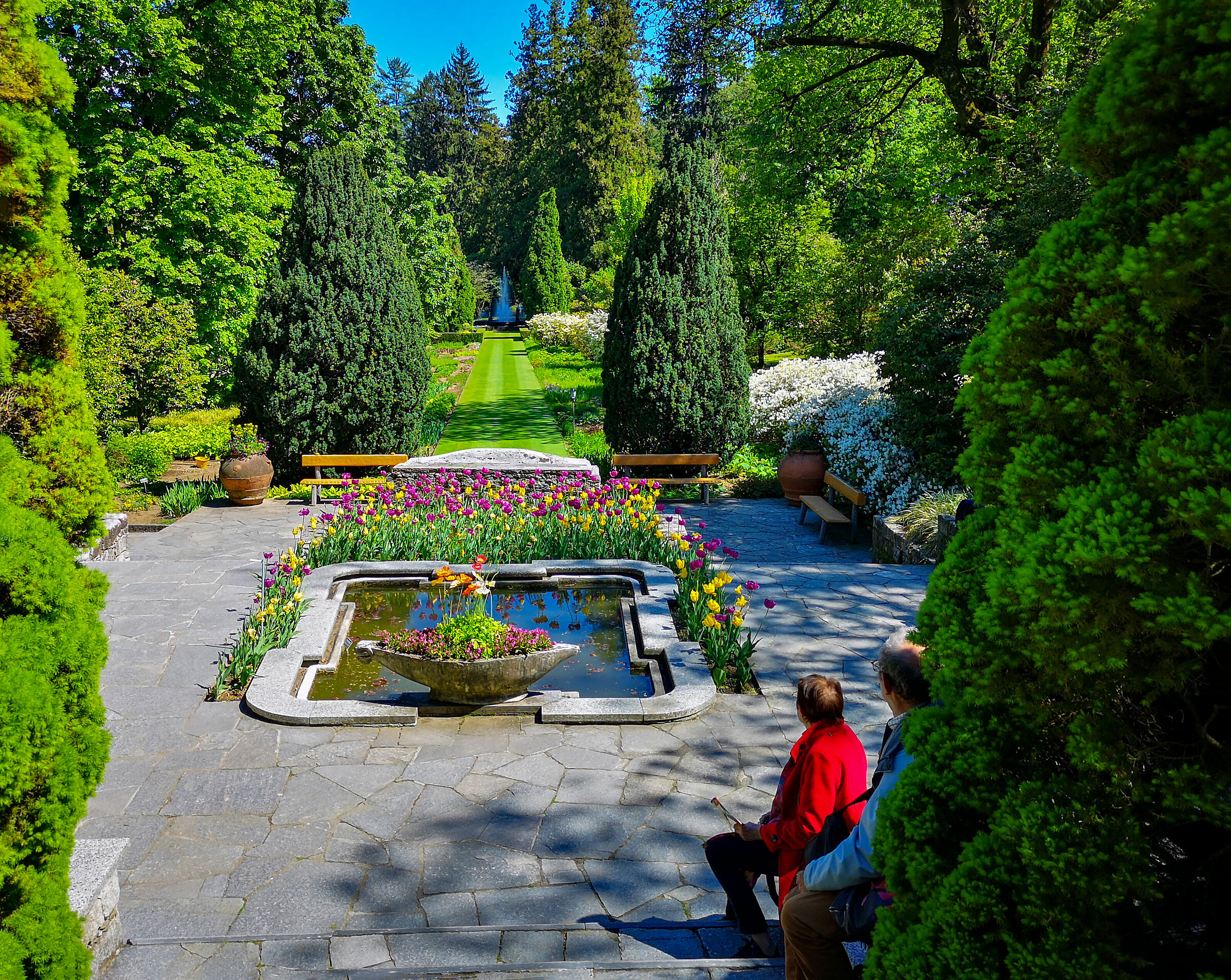 Contemplating the beautiful