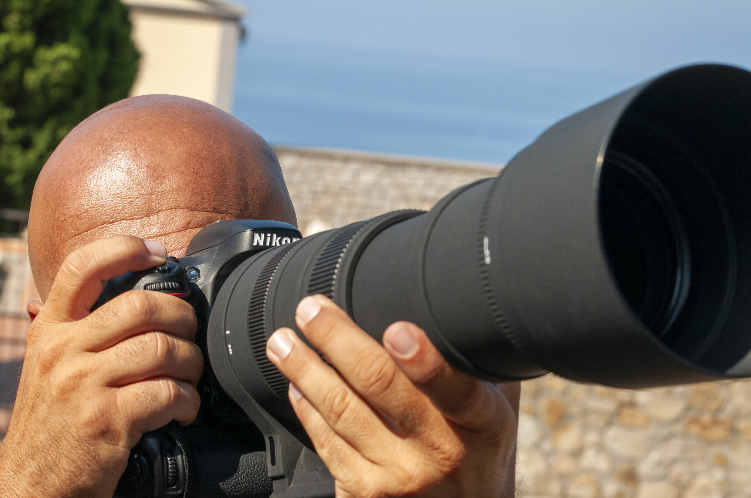 Andrea chasing the hazelnuts
