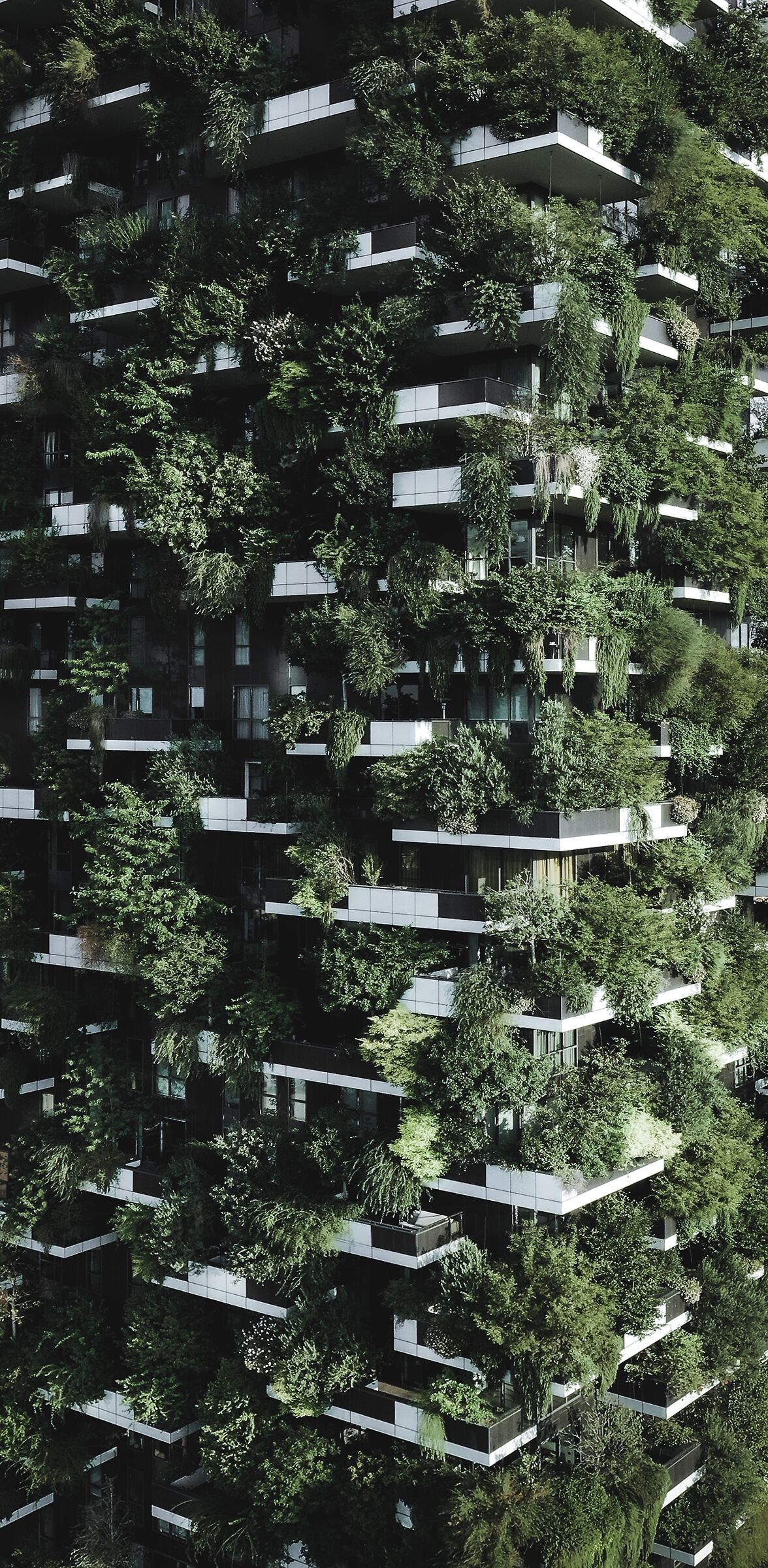 Vertical Forest