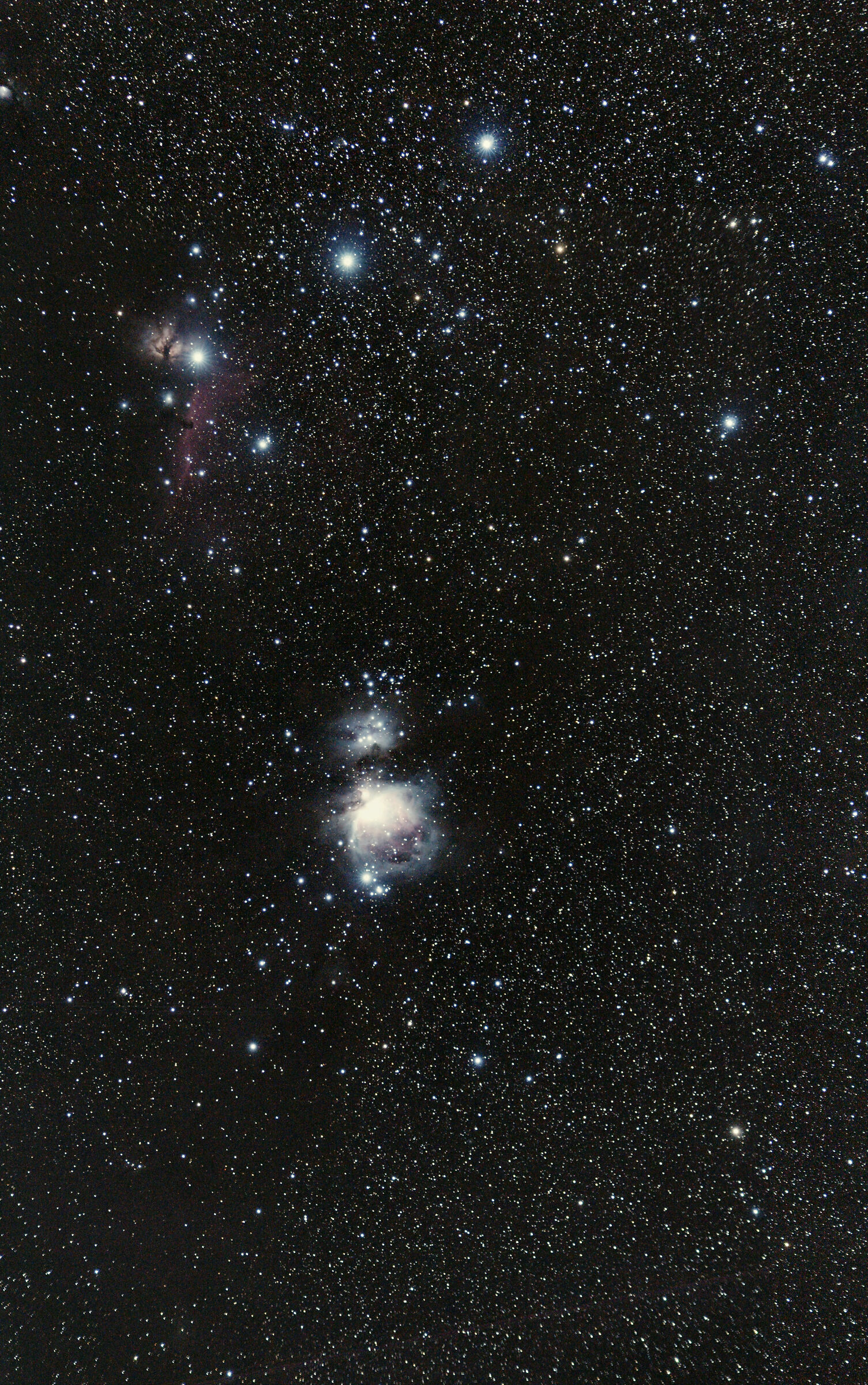 M42 e Ic 434