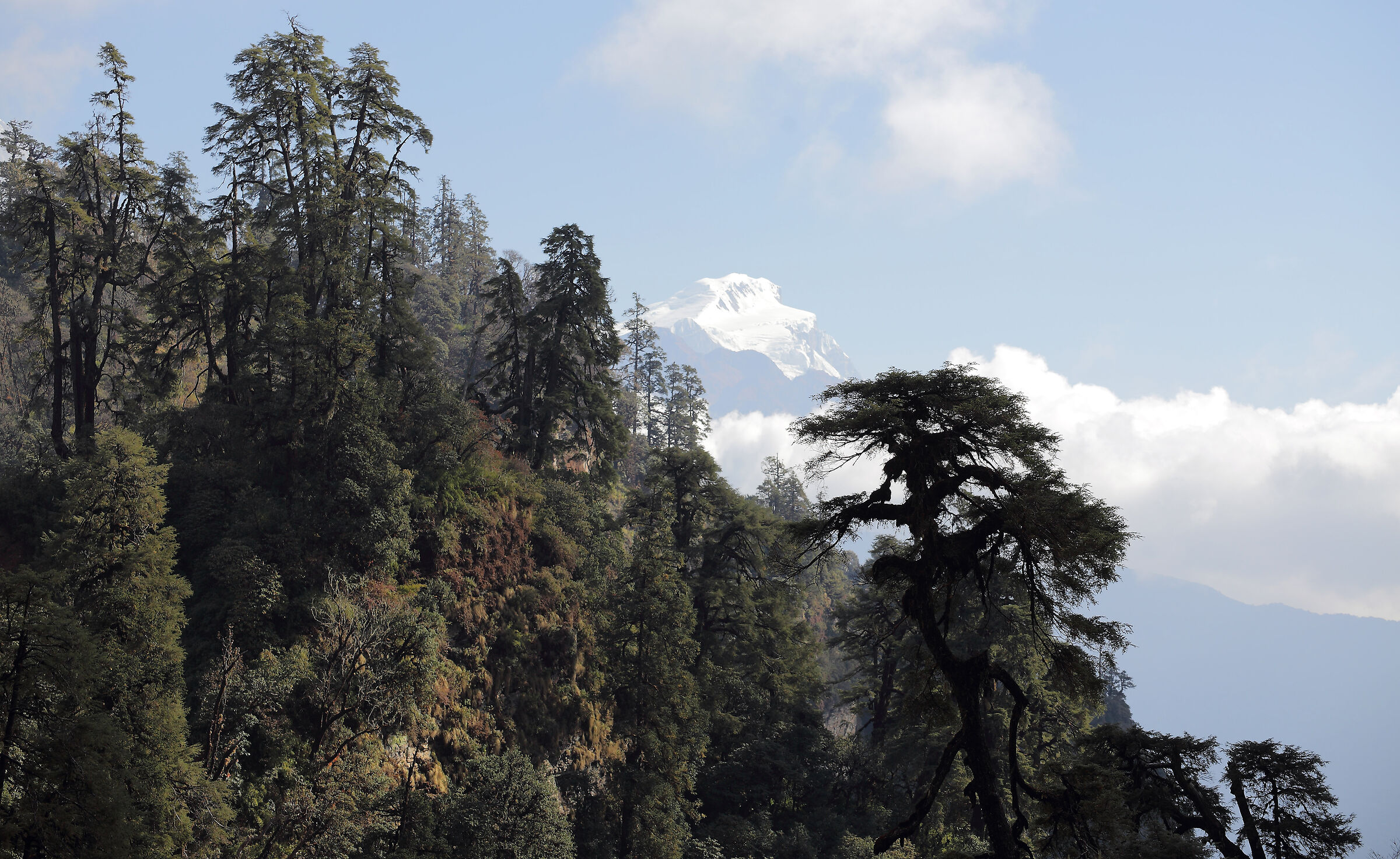 Rodeando e l'Annapurna