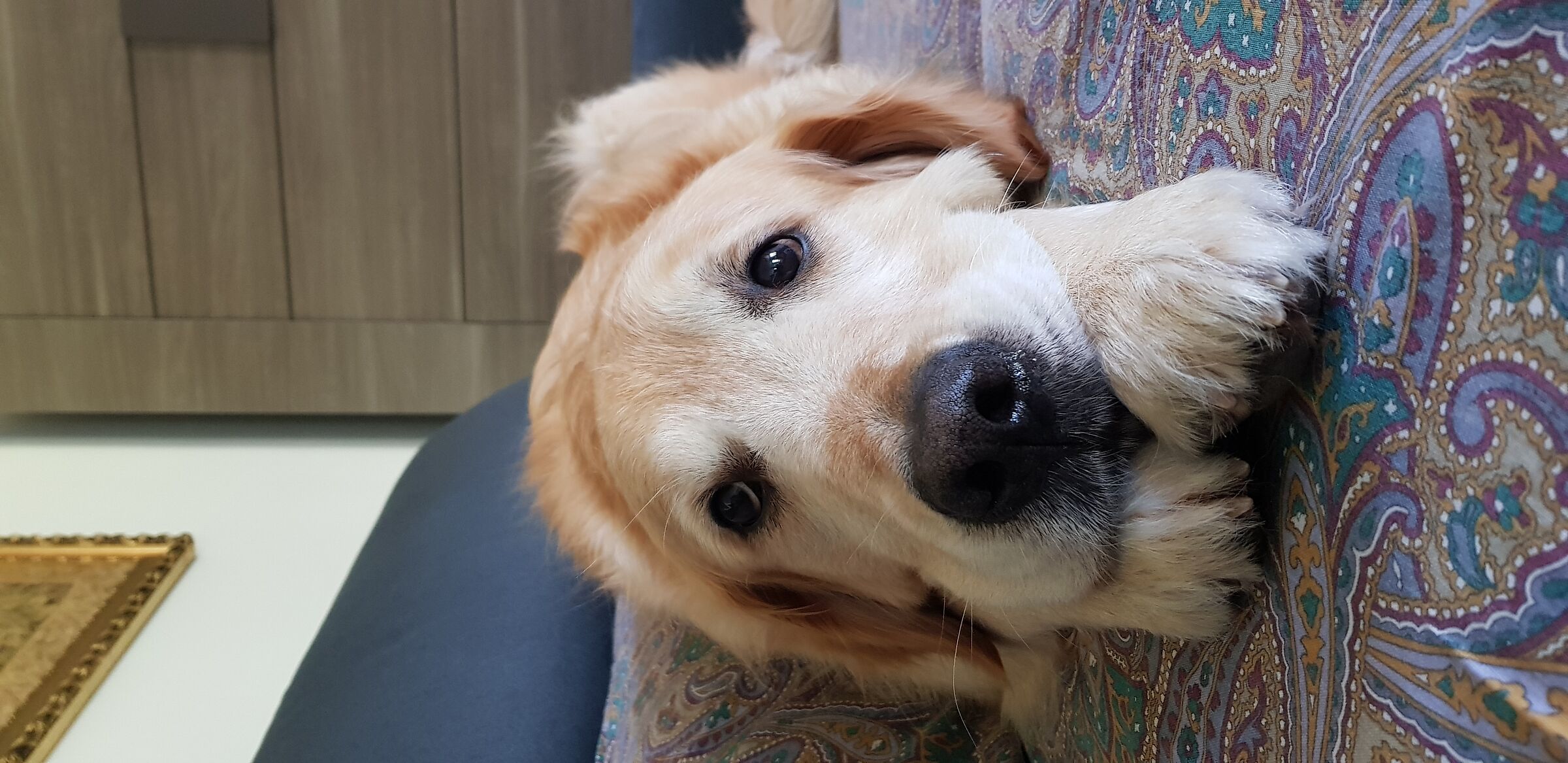 Hey... You give me two cuddles???