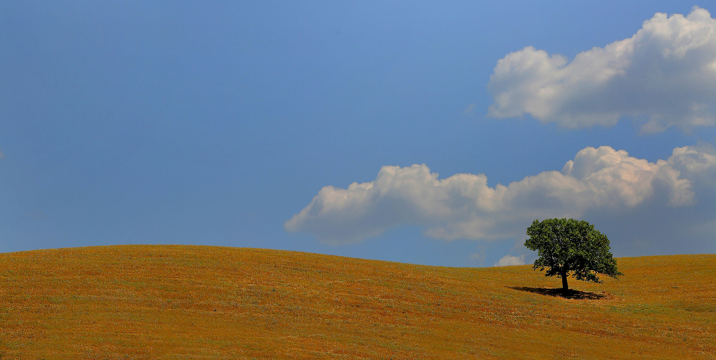 Tuscan Landscape