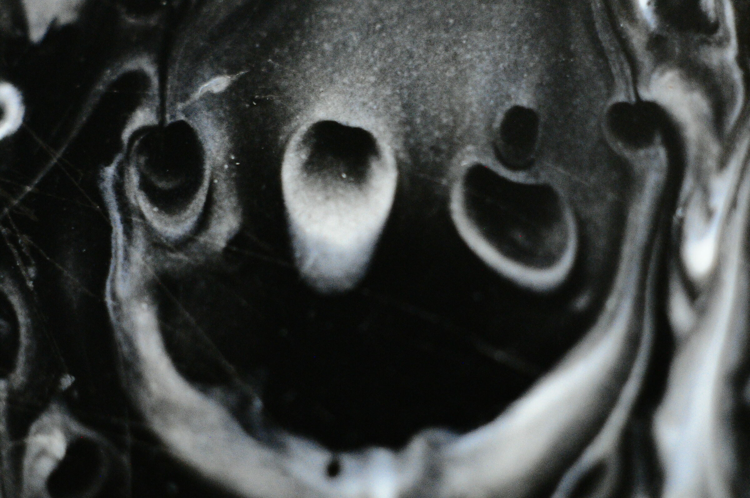 Il Mostro degli Abissi