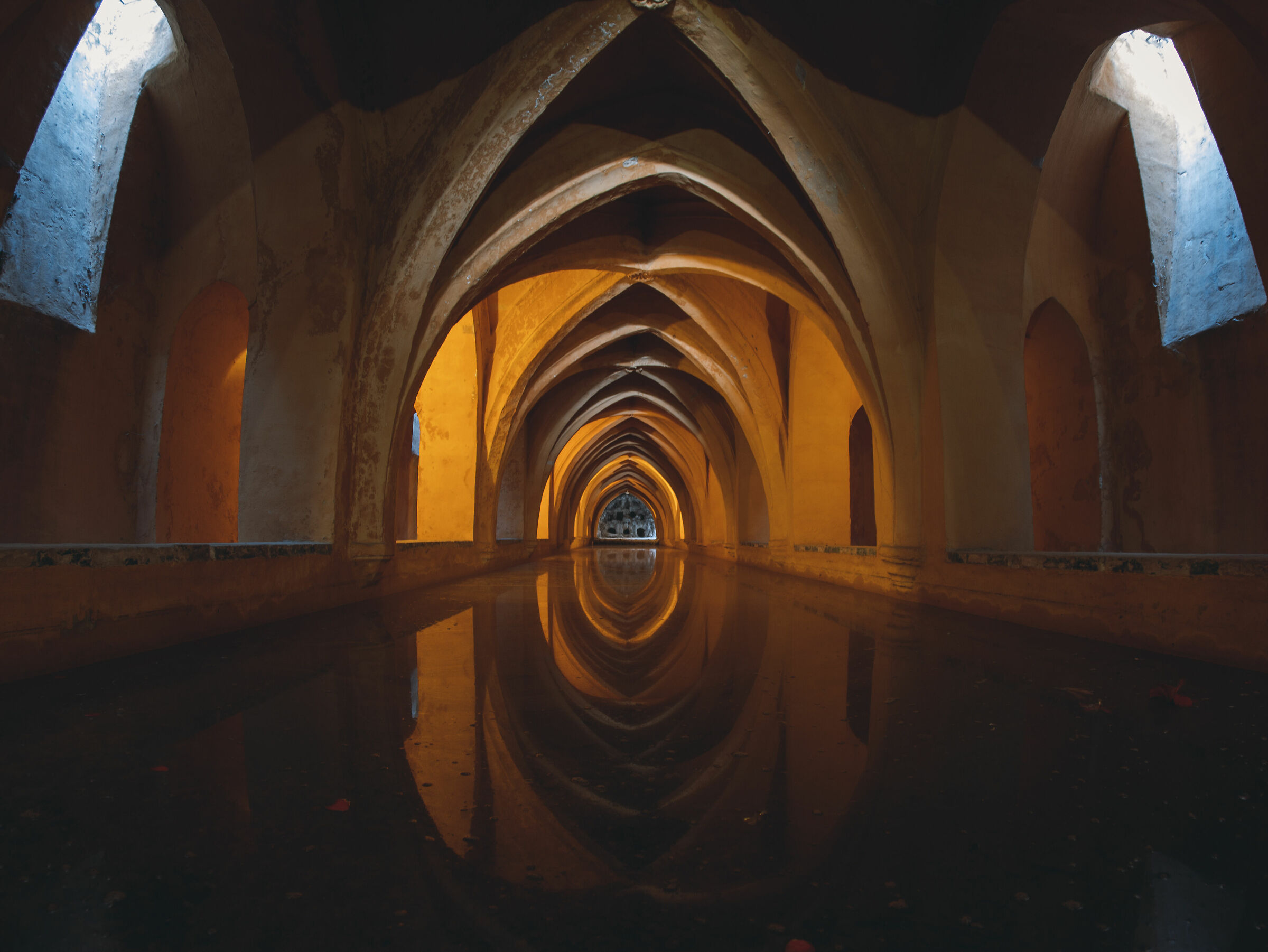 Dentrol'Alcazar di Siviglia