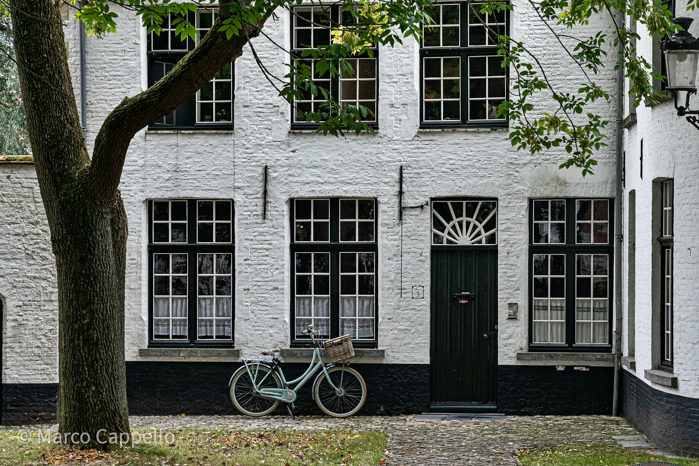 la vecchia bicicletta