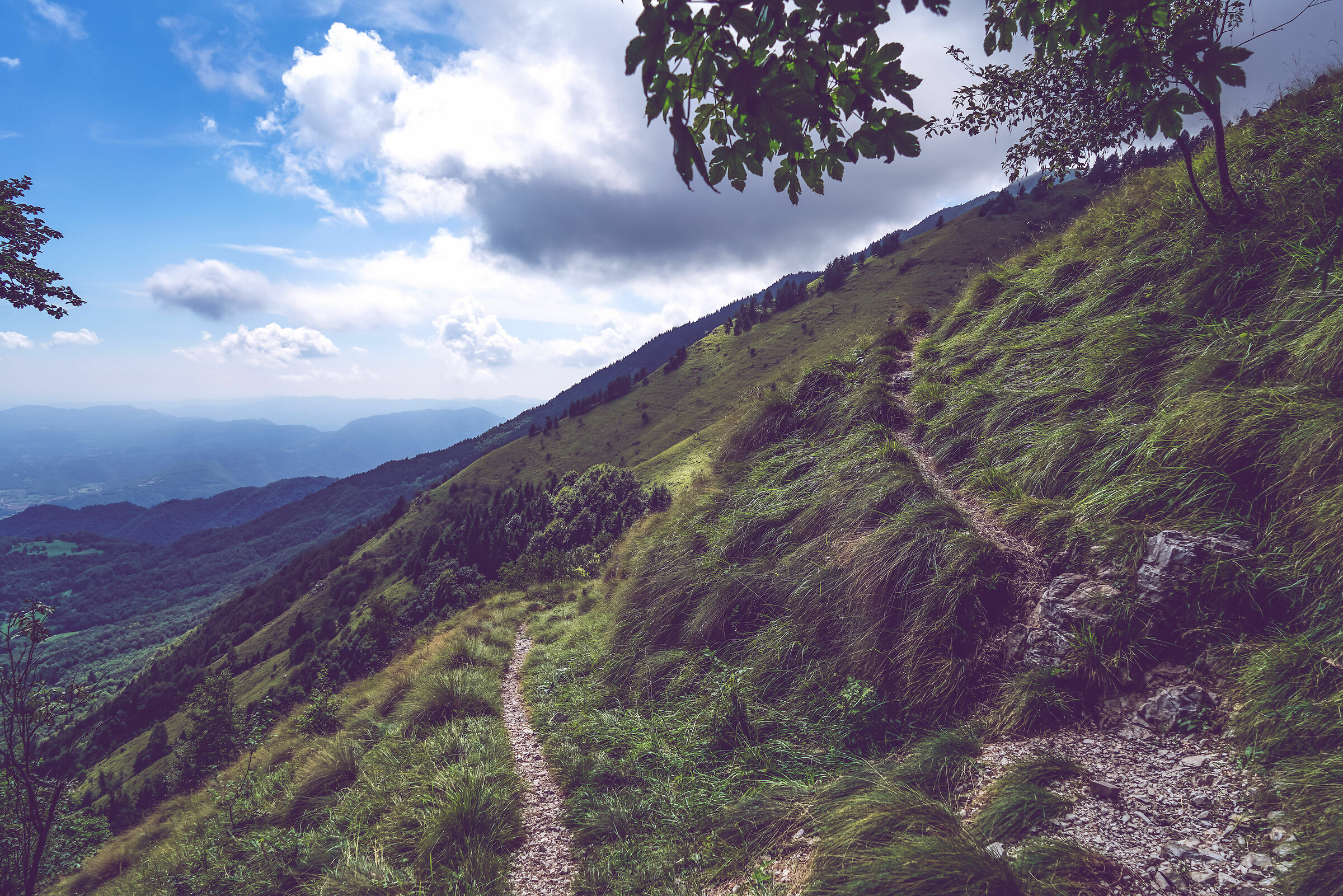 Monte Brazome - Schio Vi