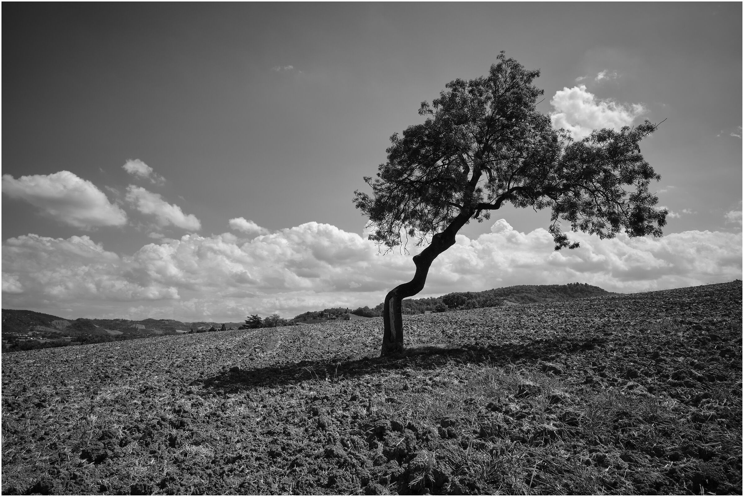 A little shade for the peones