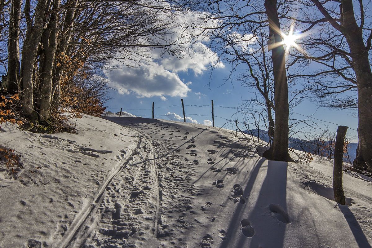 Sentiero innevato
