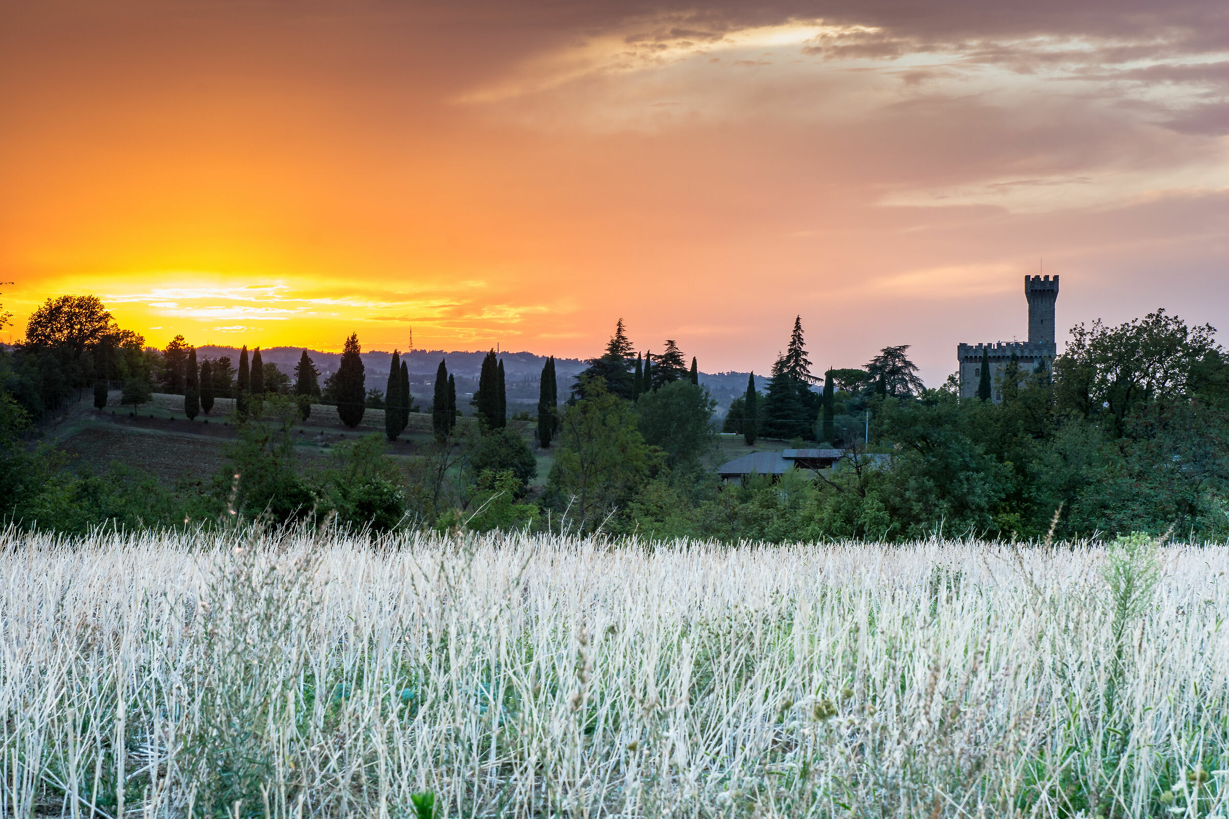Park of the Bolognese Gessi and Calanchi of The Abbadessa