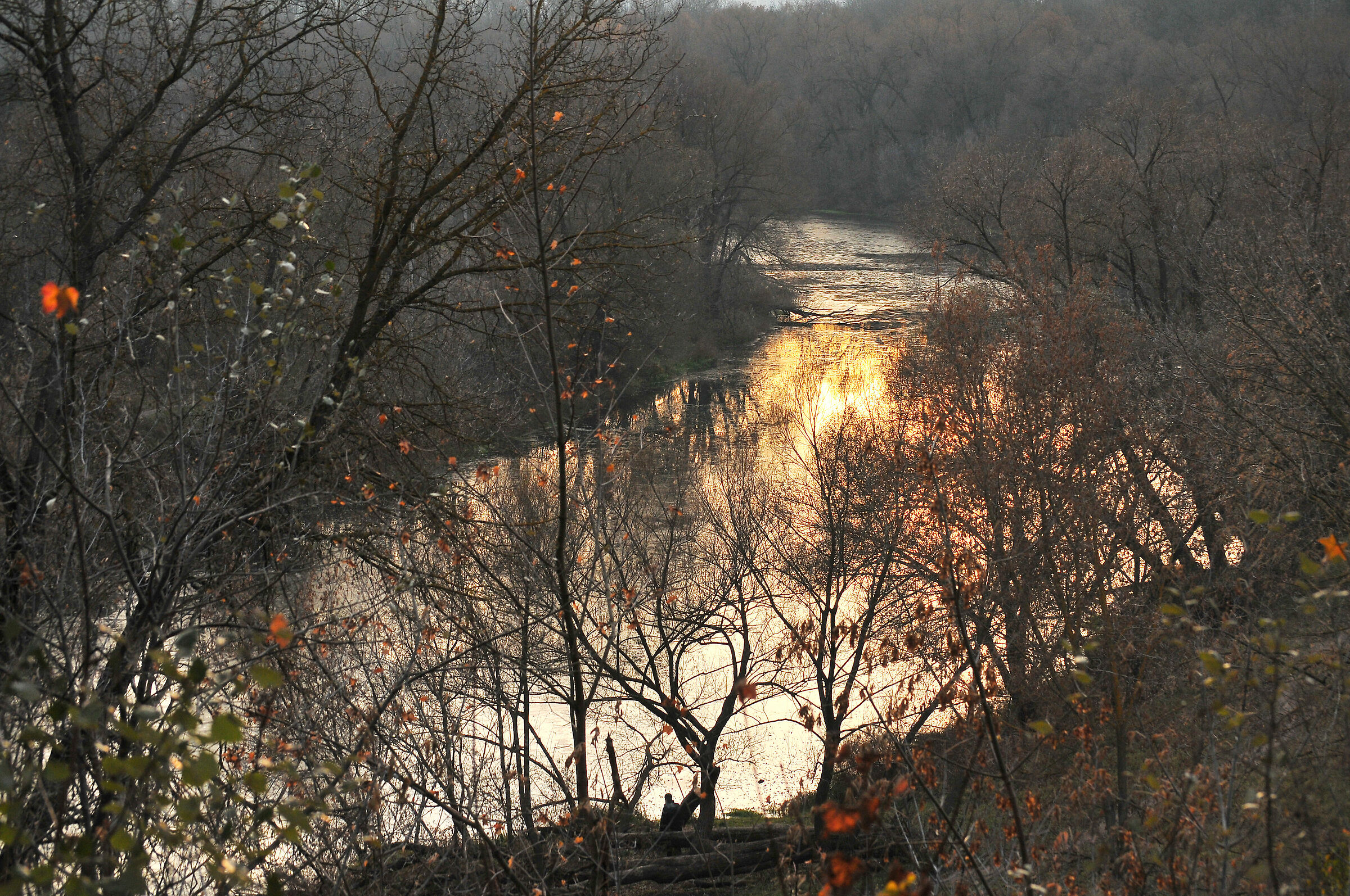 Sopra il fiume invernale