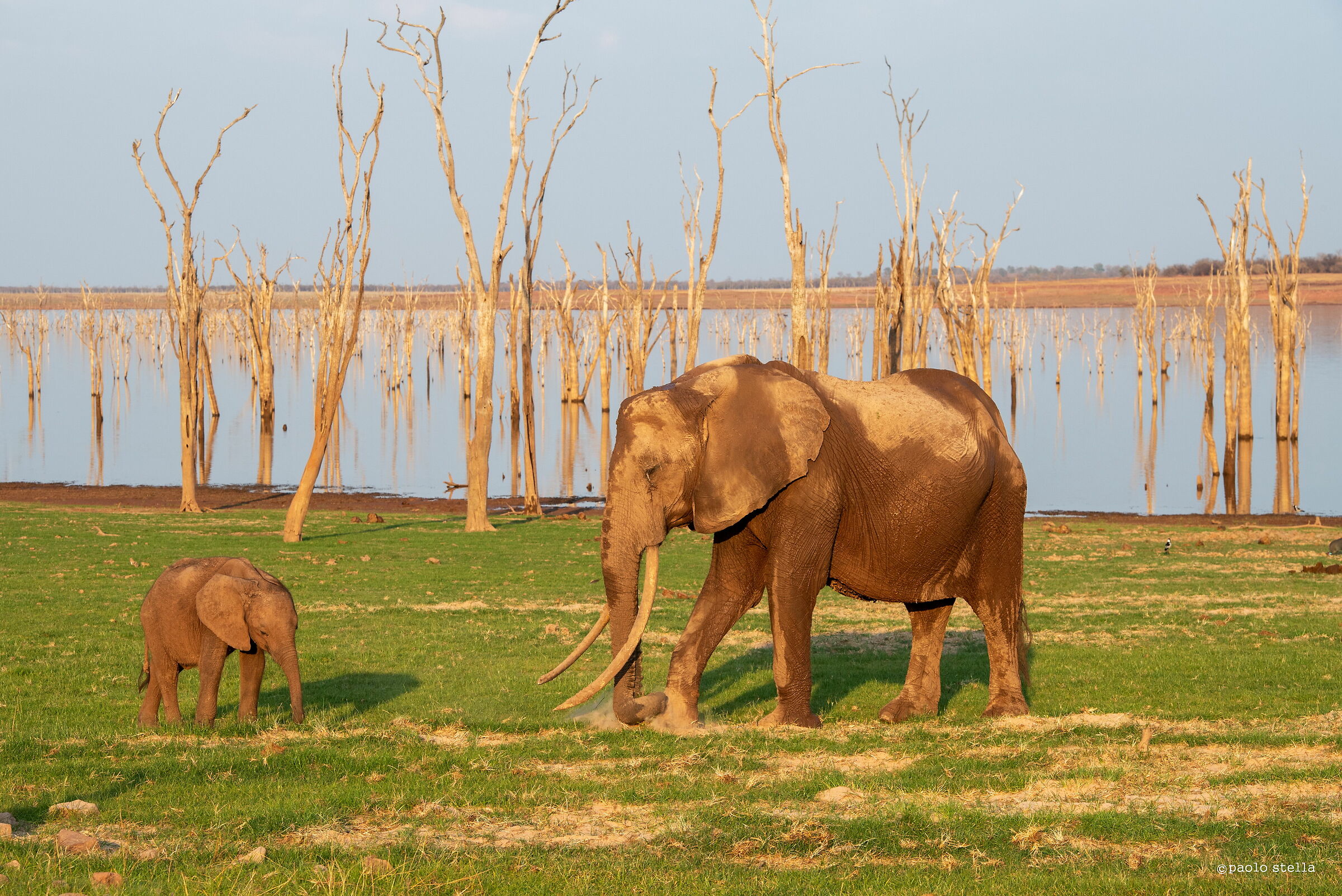 on the banks of Kariba