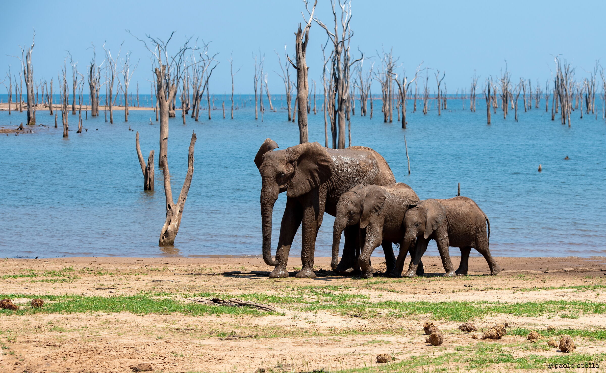 at the Kariba's shore