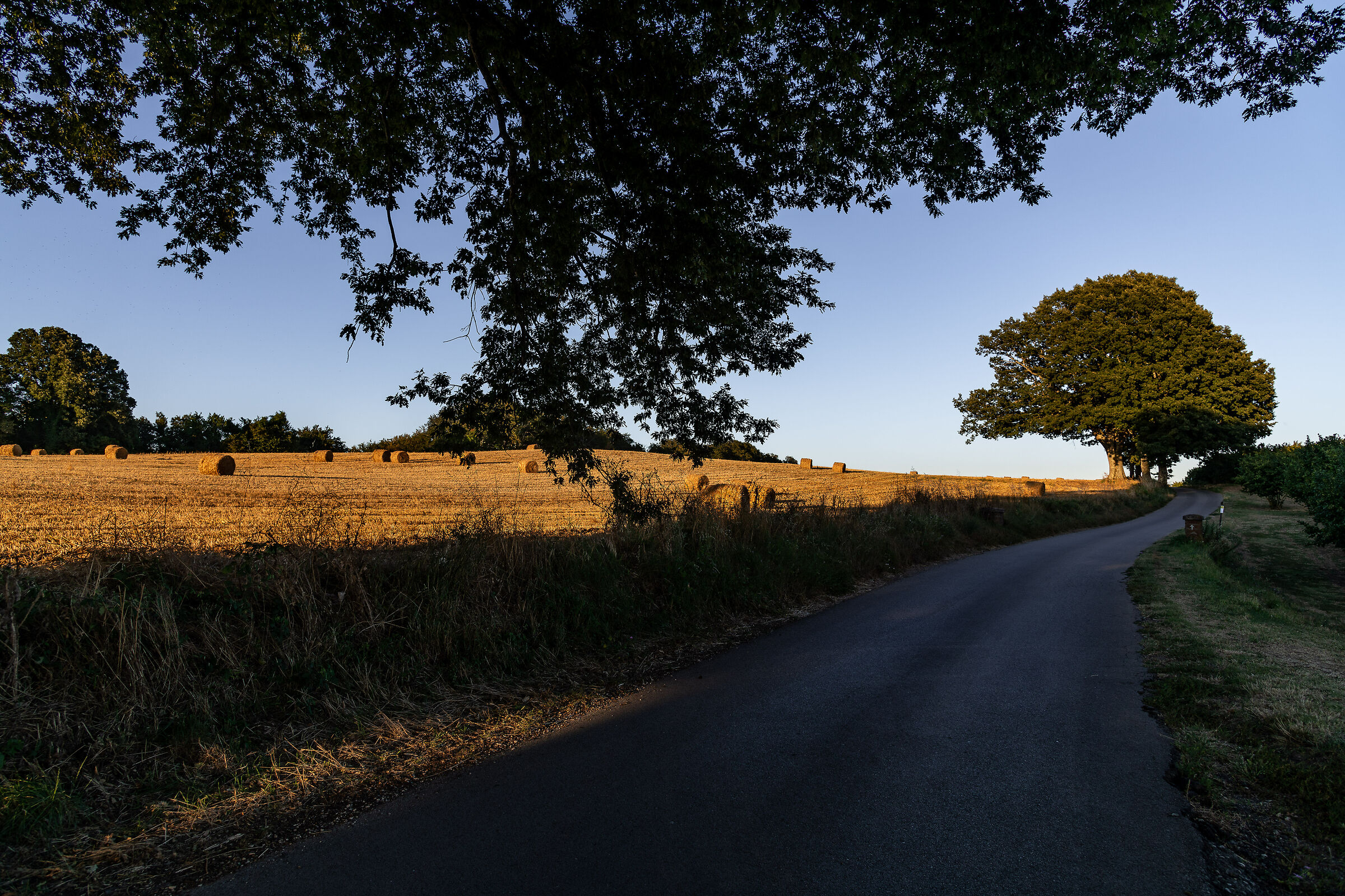 Verso casa. Monti Cimini (vt)