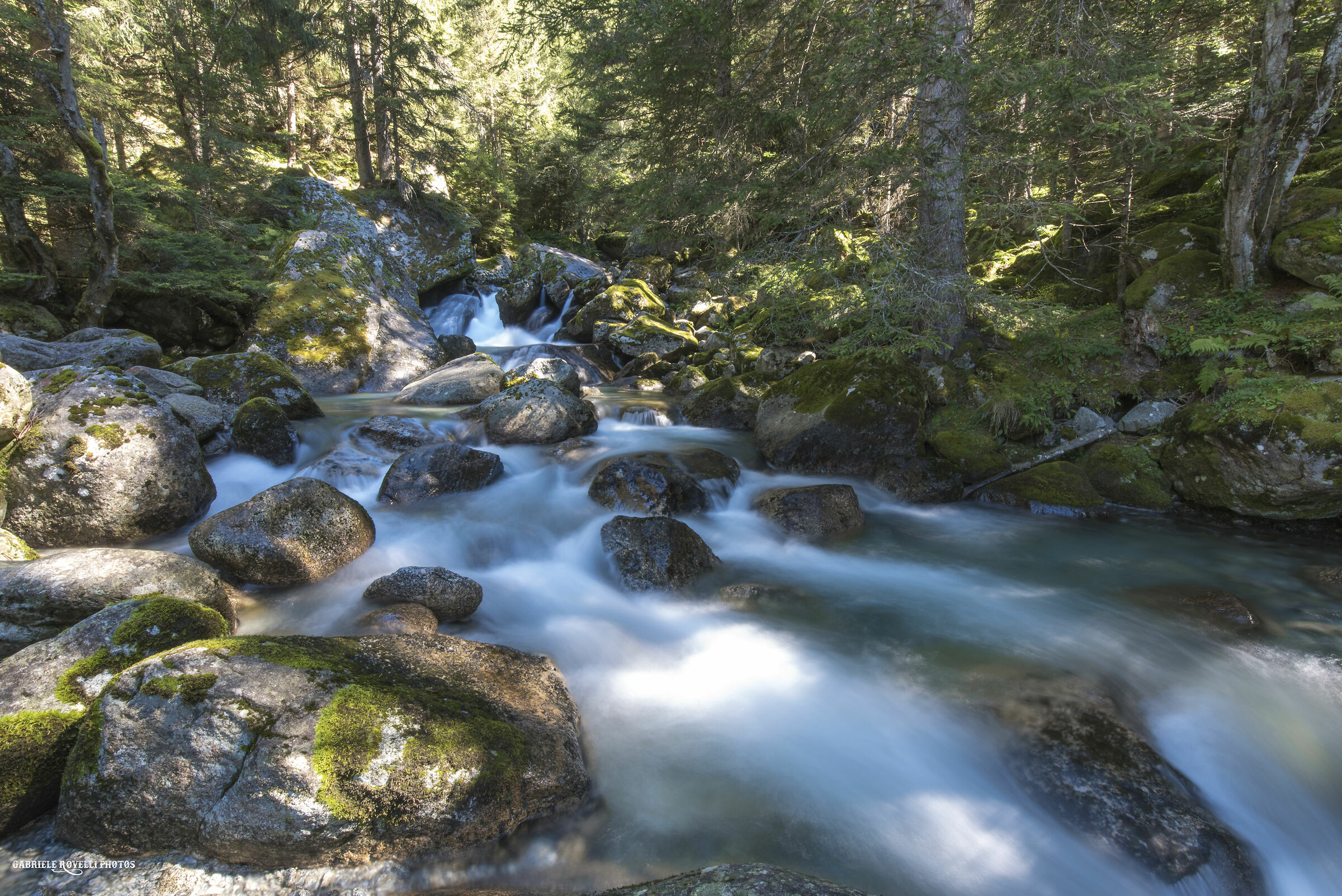 creek in Mello Valley
