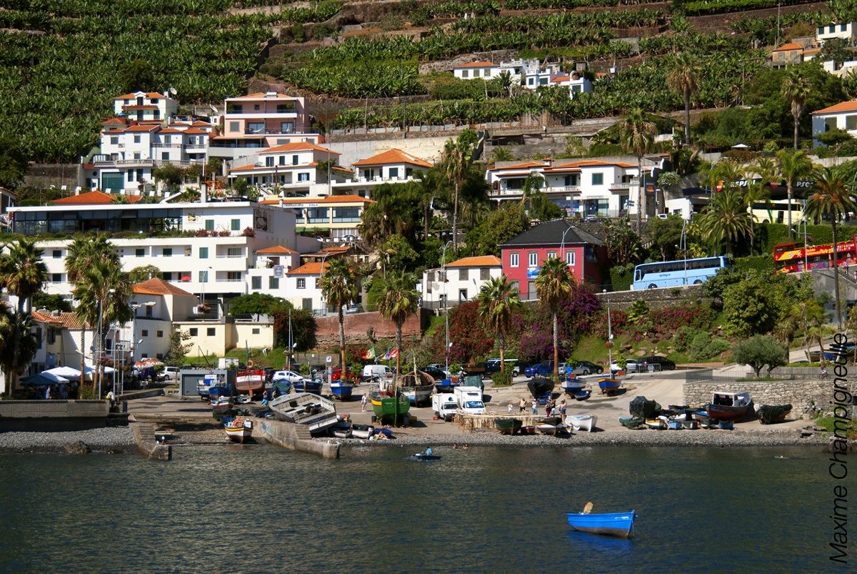 Camara de Lobos