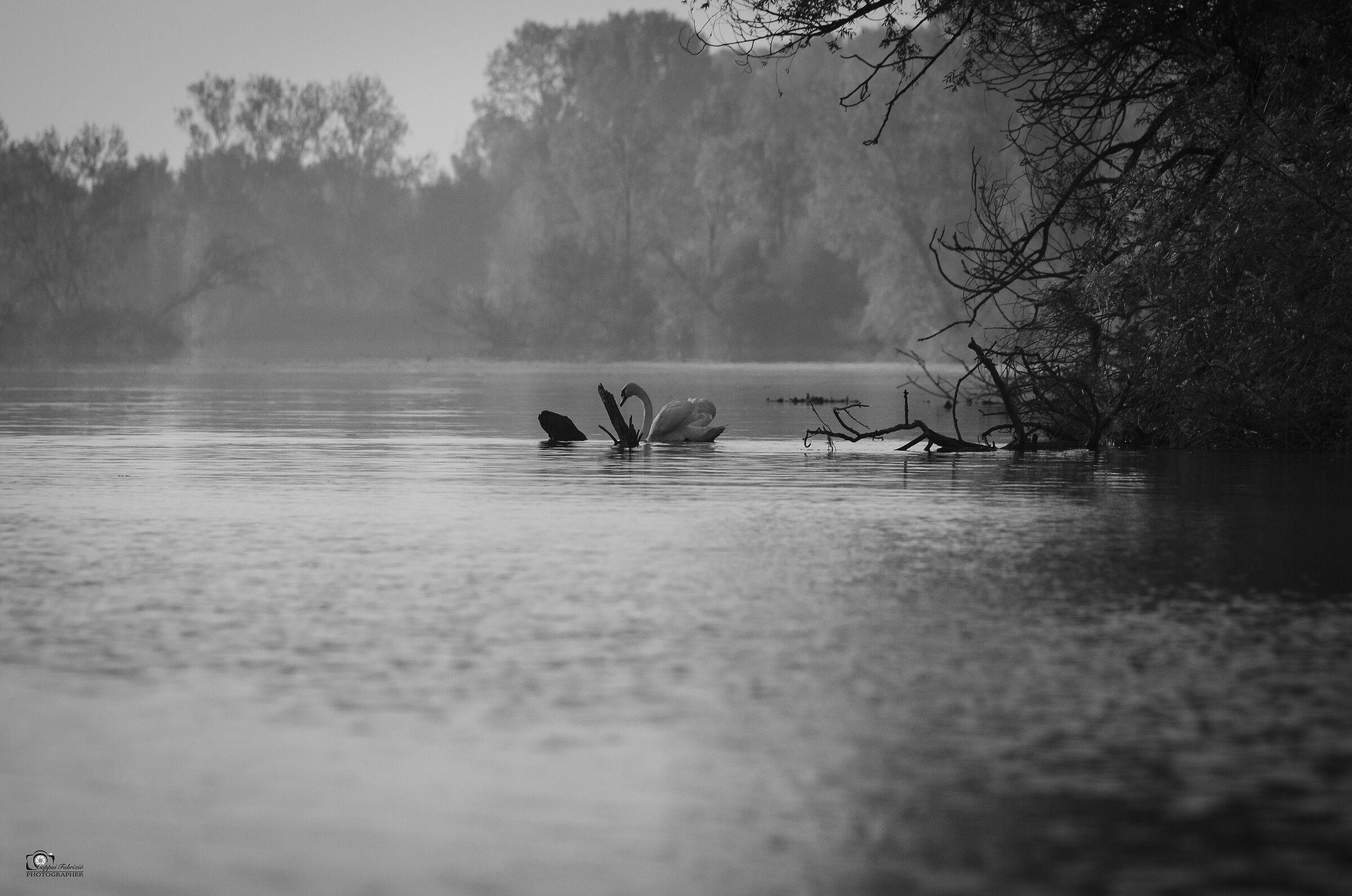 A photo looking at the past