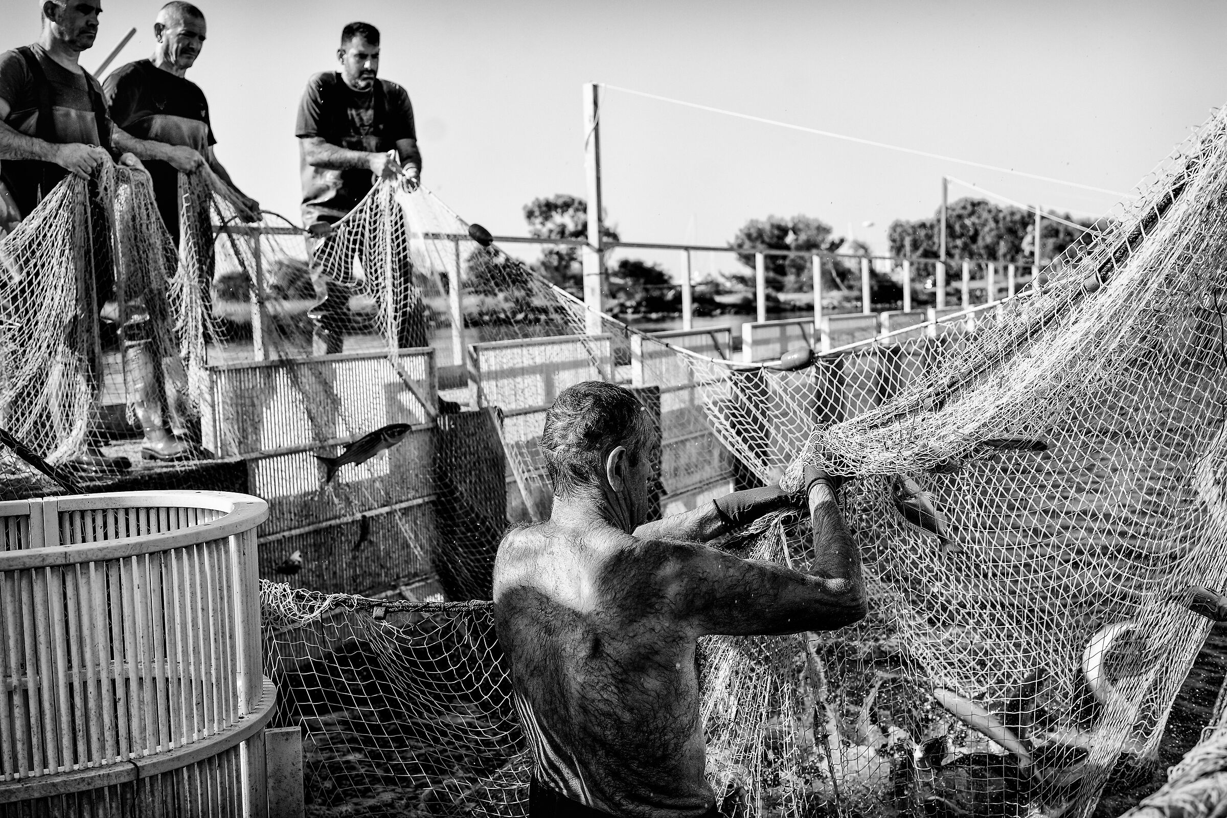 " Le storie di Cabras "